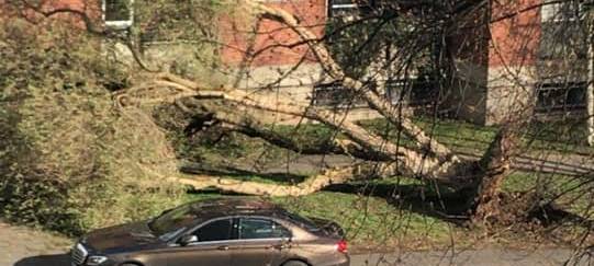 Schäden nach Sturm Eberhard