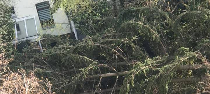 Schäden nach Sturm Eberhard