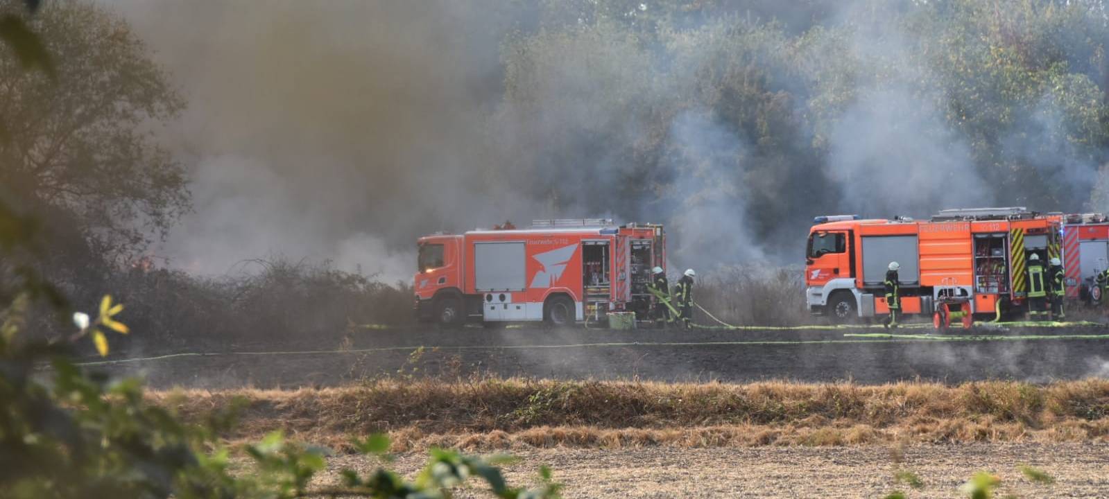 Waldbrand behindert Evakuierung nach Bombenfund