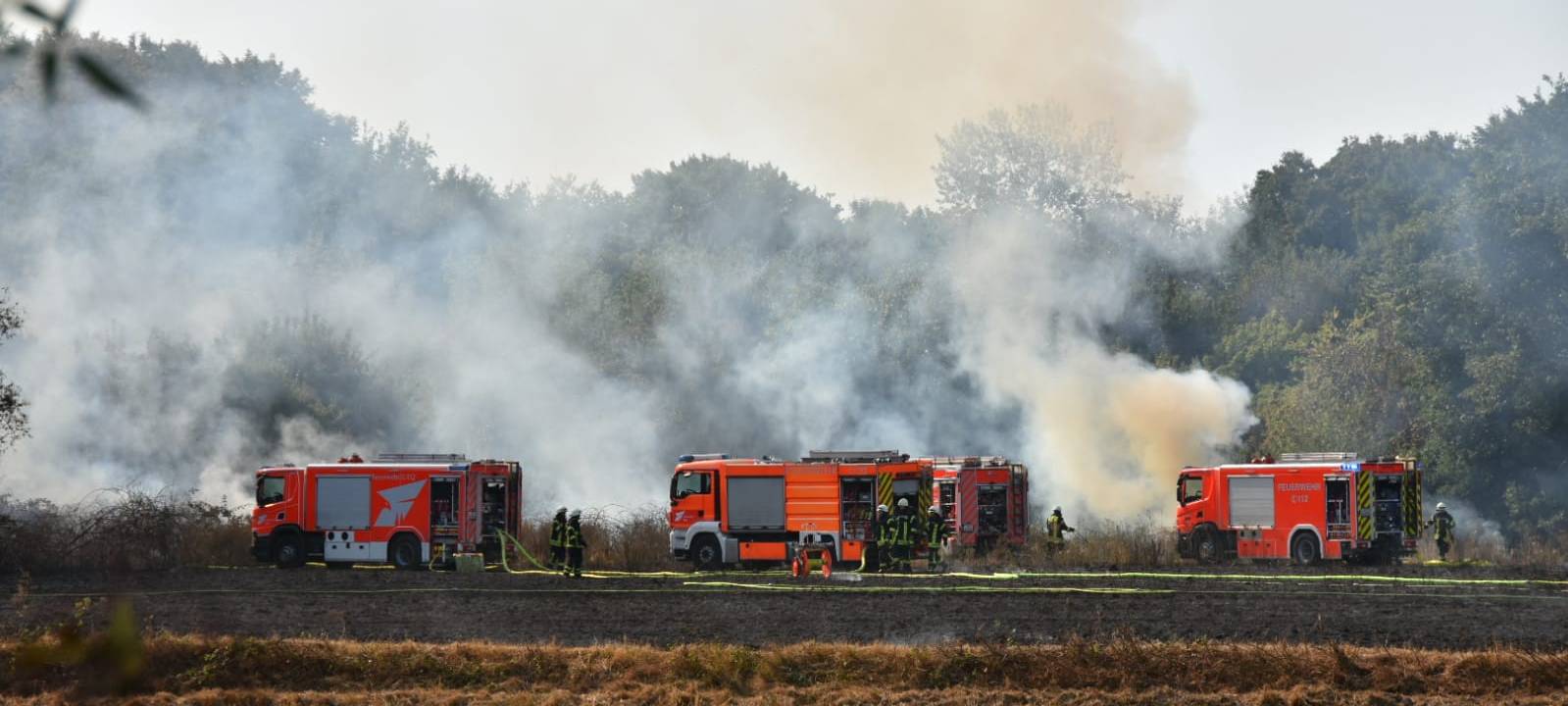 Waldbrand behindert Evakuierung nach Bombenfund