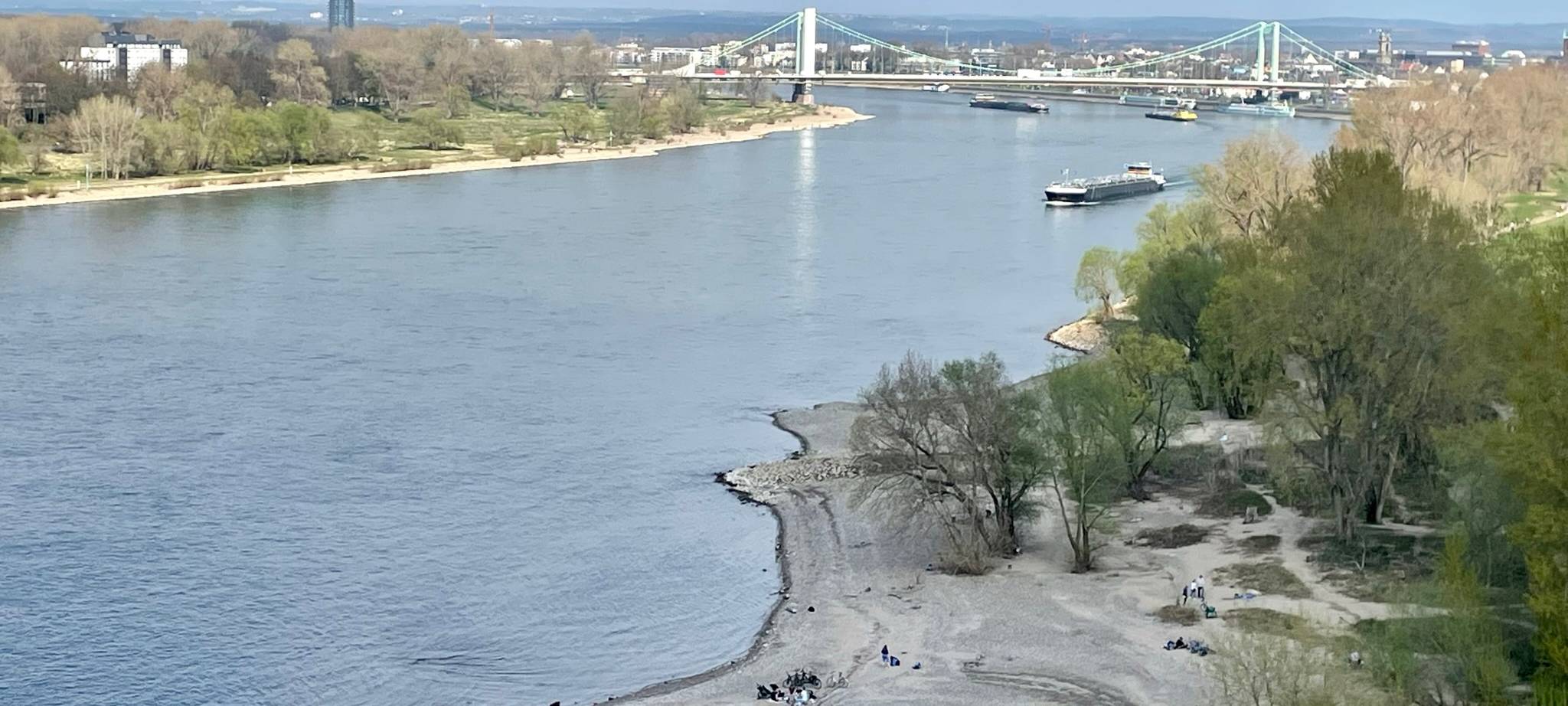 DLRG warnt vor Schwimmen im Rhein