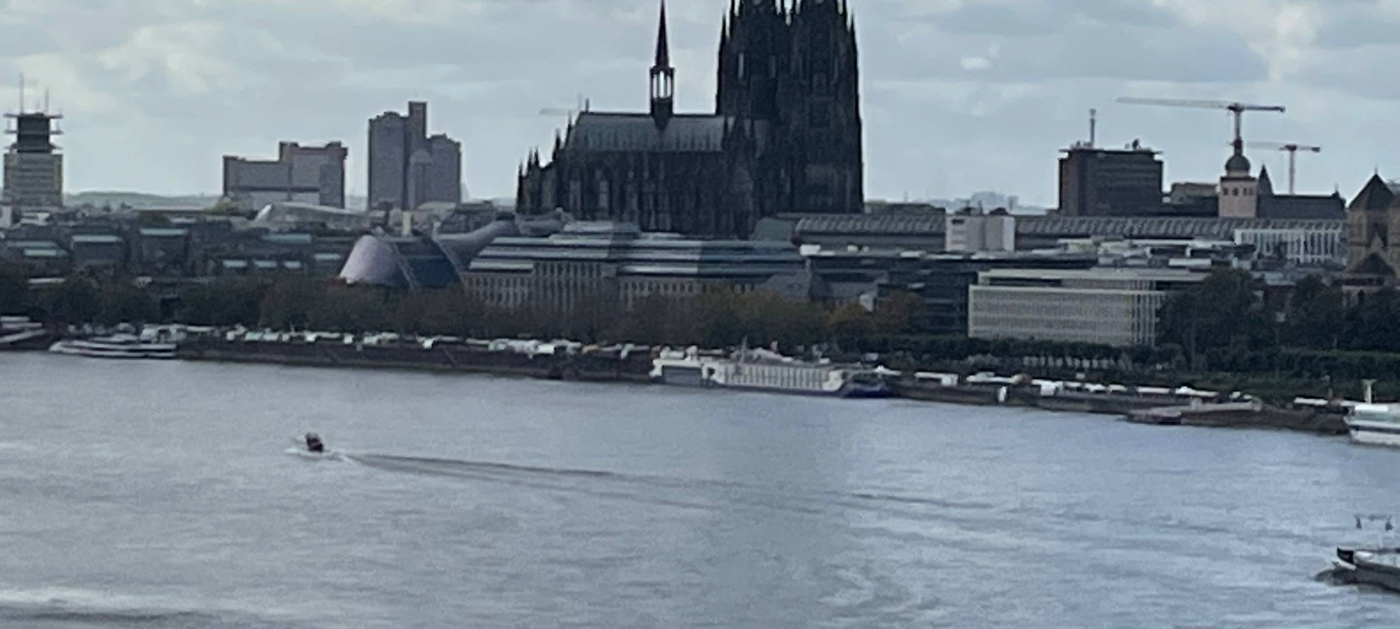 Mann stirbt bei traditionellem Rheinschwimmen
