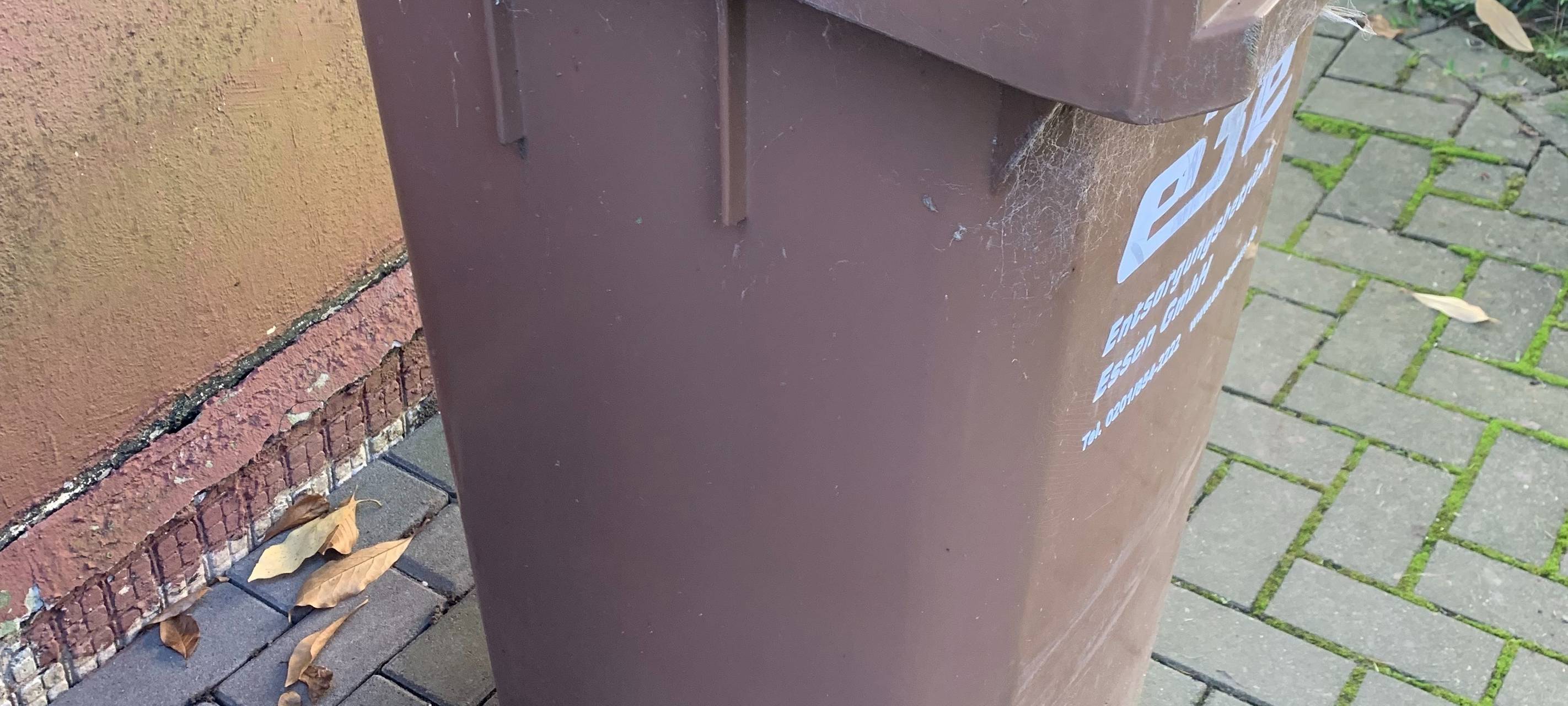 Immer mehr Biotonnen in Köln