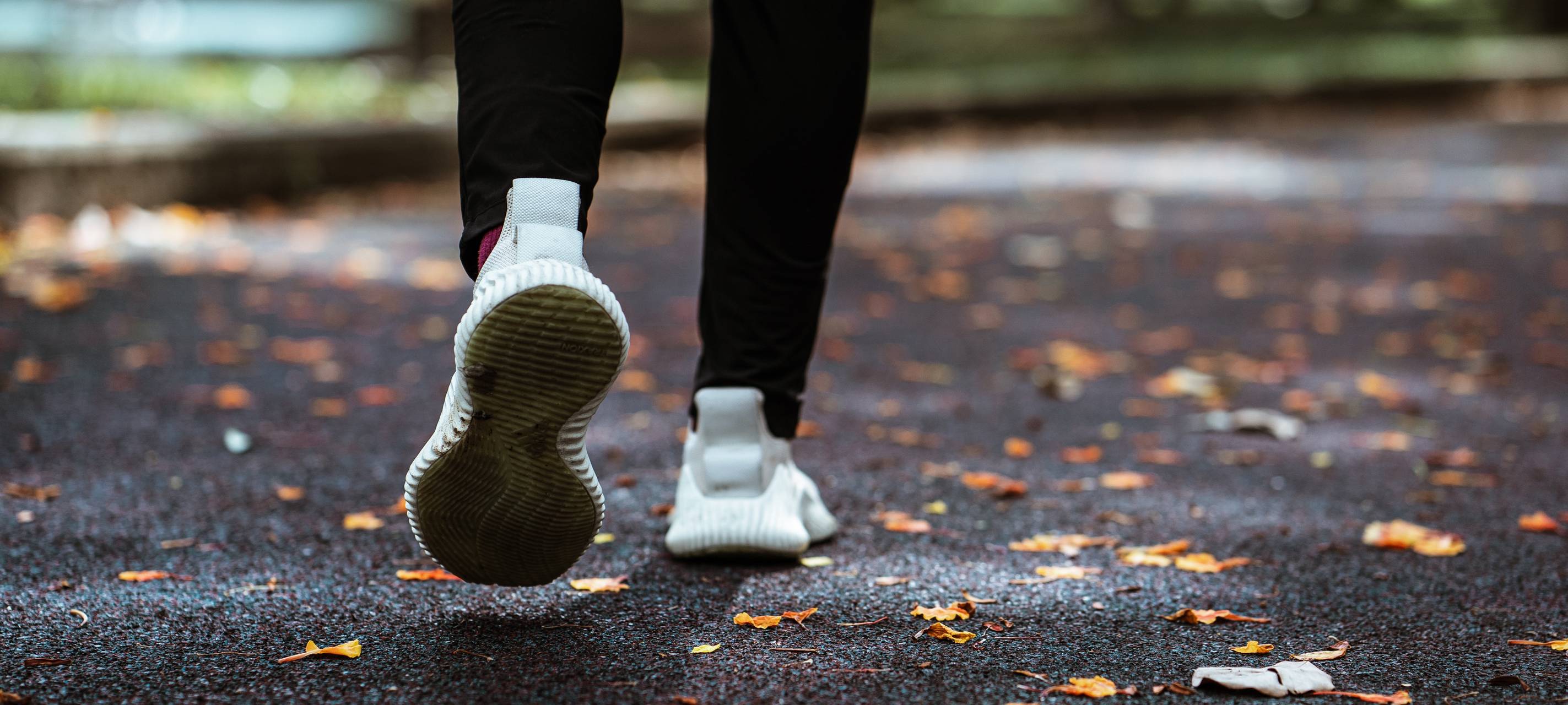 Attacke gegen Hundehalter - Polizei sucht Jogger