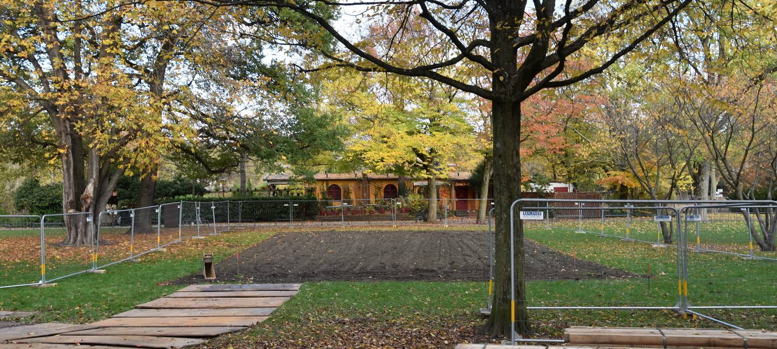 Tiere aus dem Volksgartenweiher ziehen um