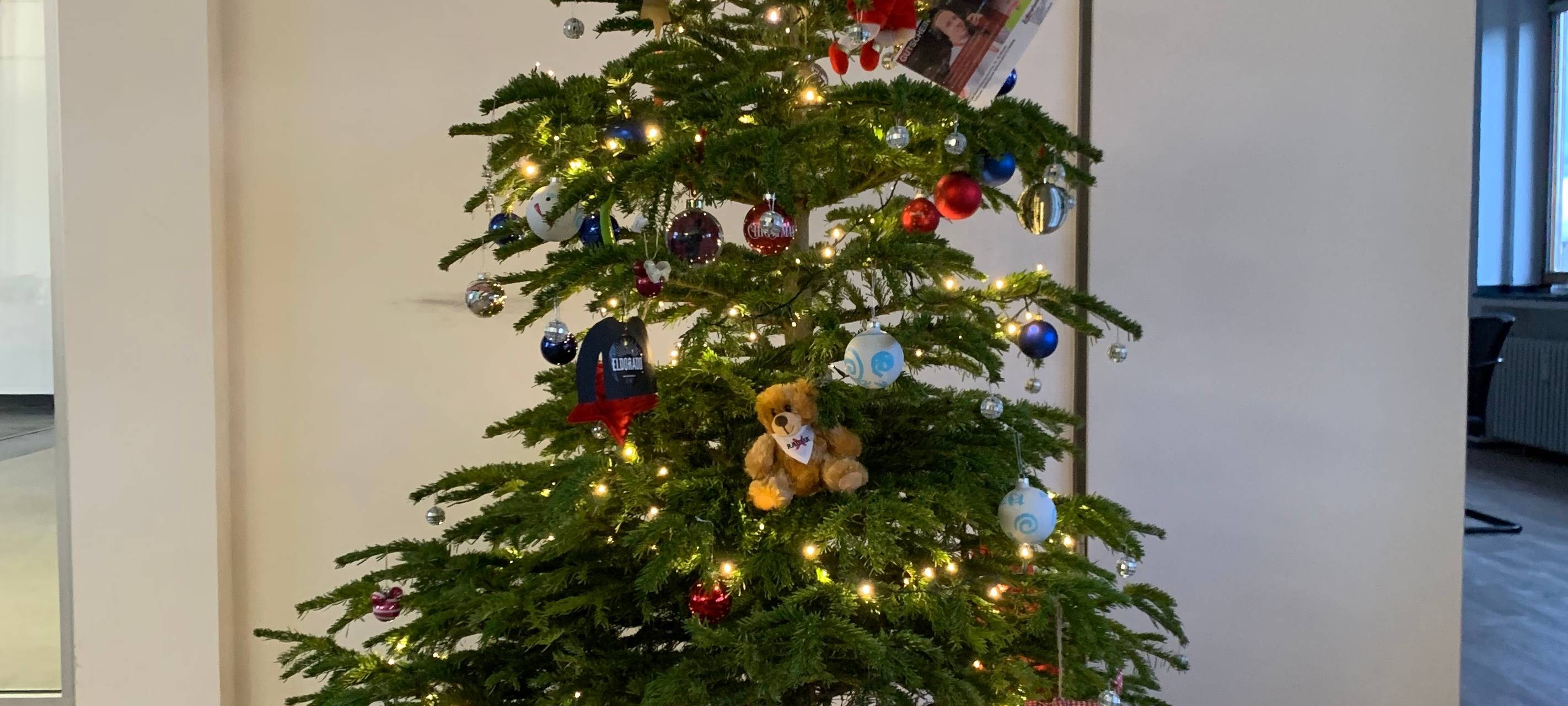 DANKE: "Weihnachts-Baumgart" für 4.421,11€ versteigert!