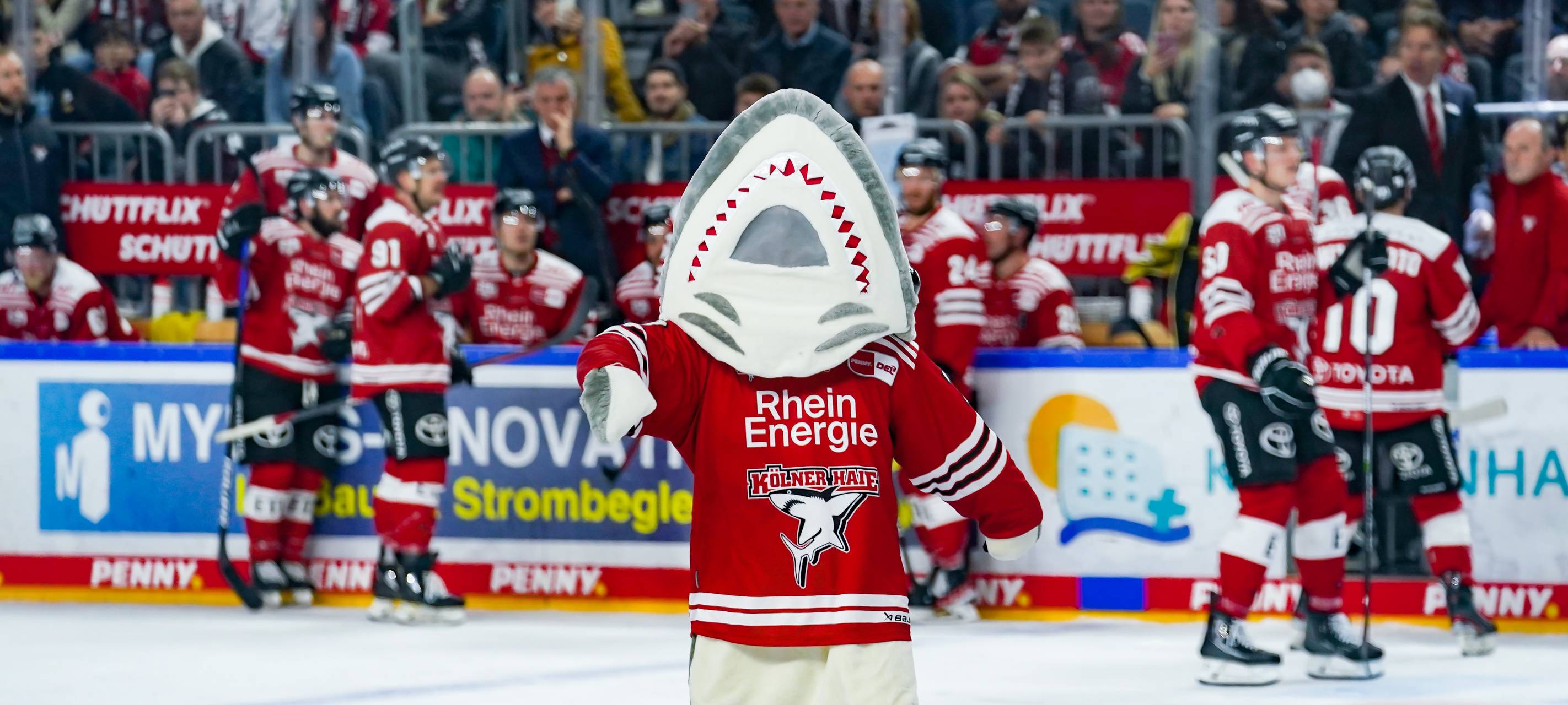 Kölner Haie starten in Saisonvorbereitung