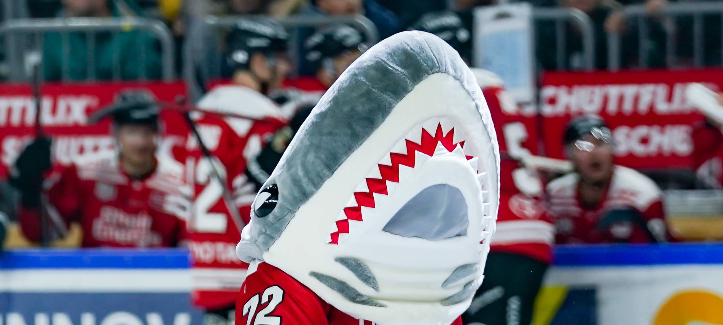 Kölner Haie spielen auswärts in München