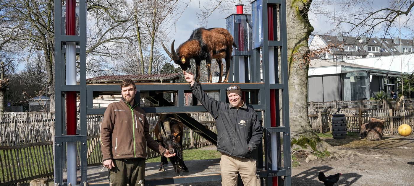 Nachgebautes RheinEnergieStadion für Hennes