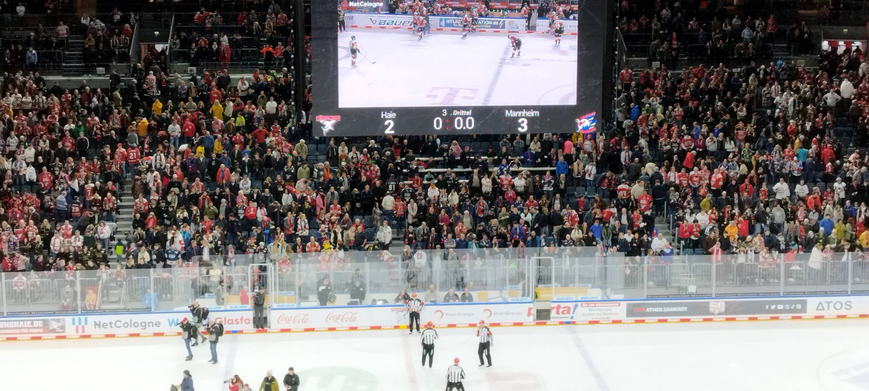Kölner Haie verlieren gegen Düsseldorf