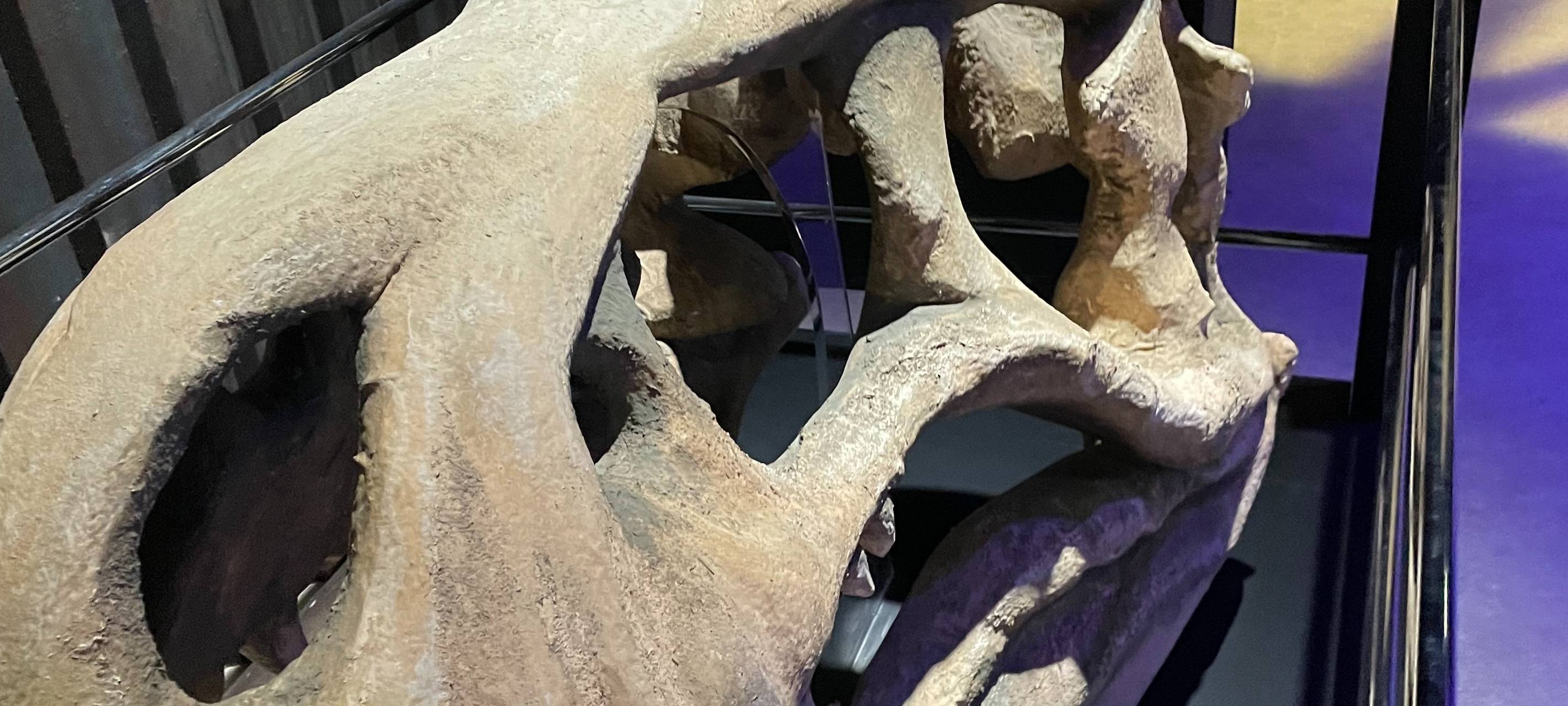 Jurassic World: Odysseum Köln mit Dinosaurier-Ausstellung