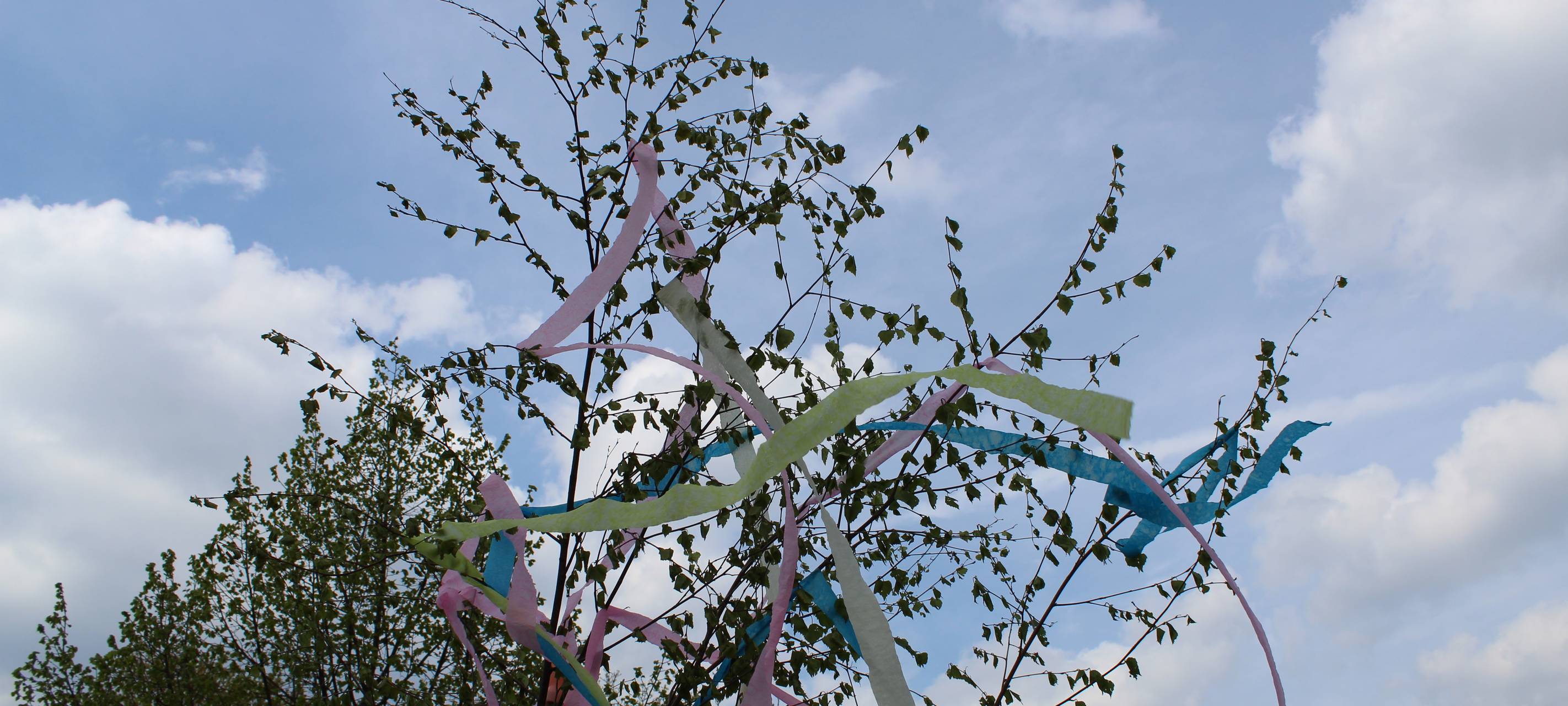 Maibaum