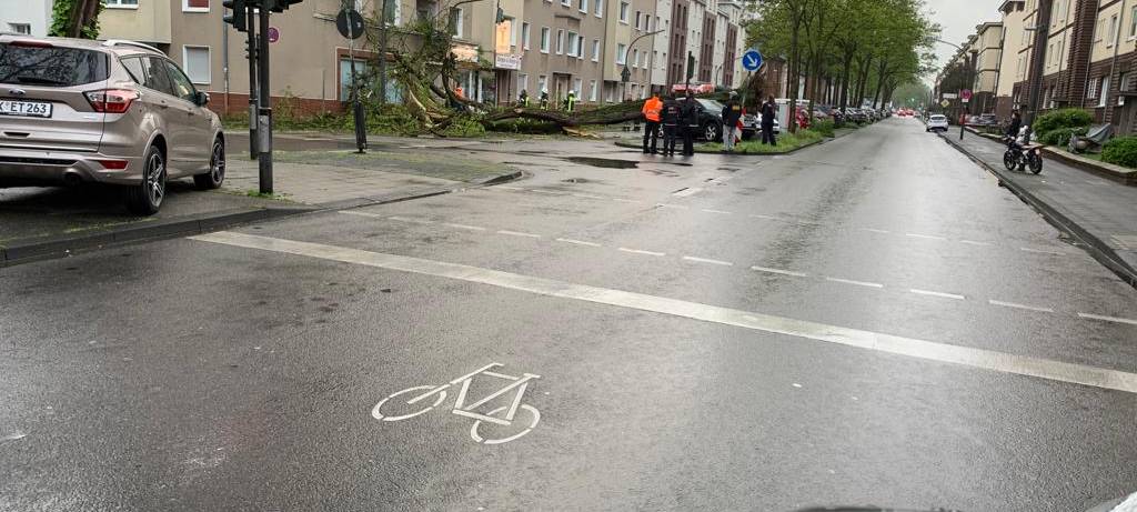 Verkehrsprobleme und Schäden durch umgestürzte Platane