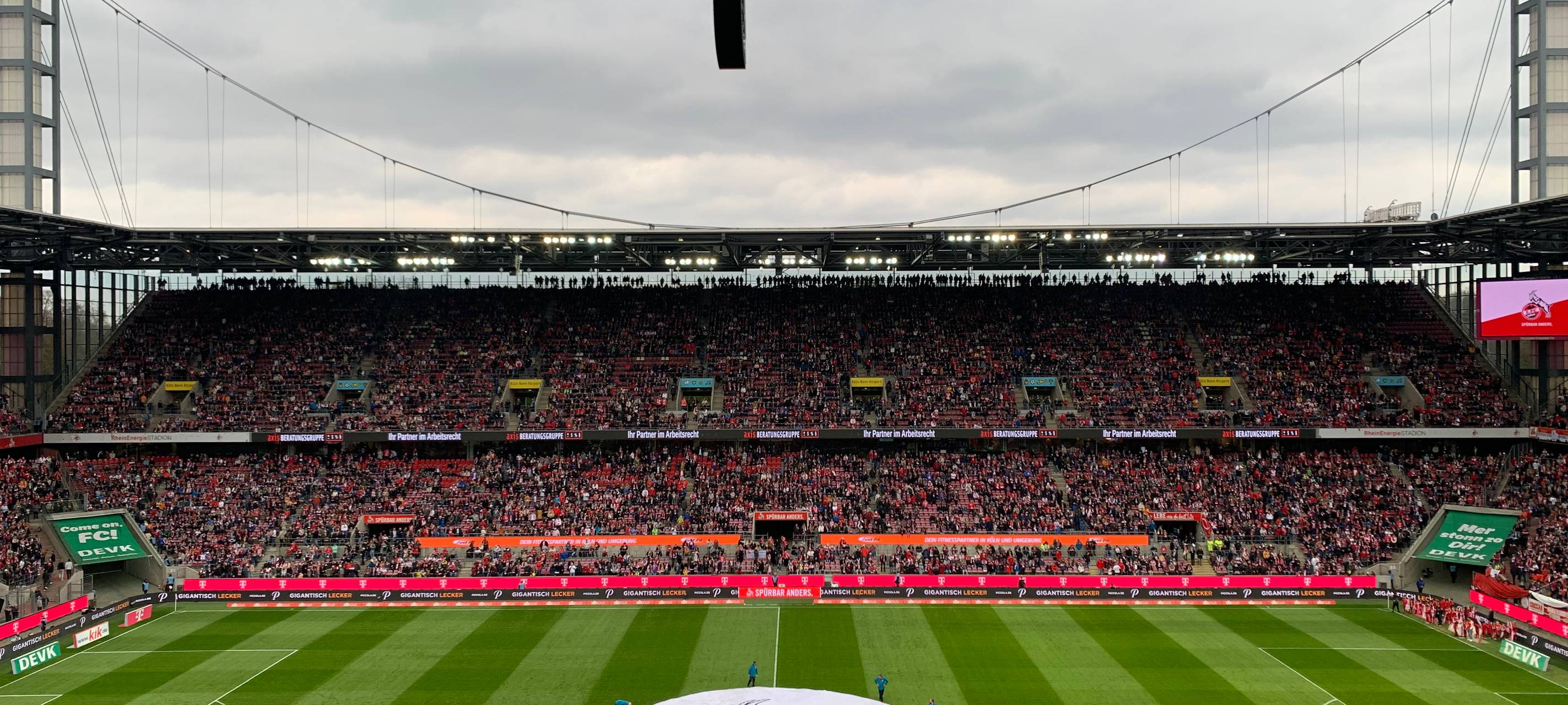 1. FC Köln empfängt Atalanta Bergamo zur Generalprobe