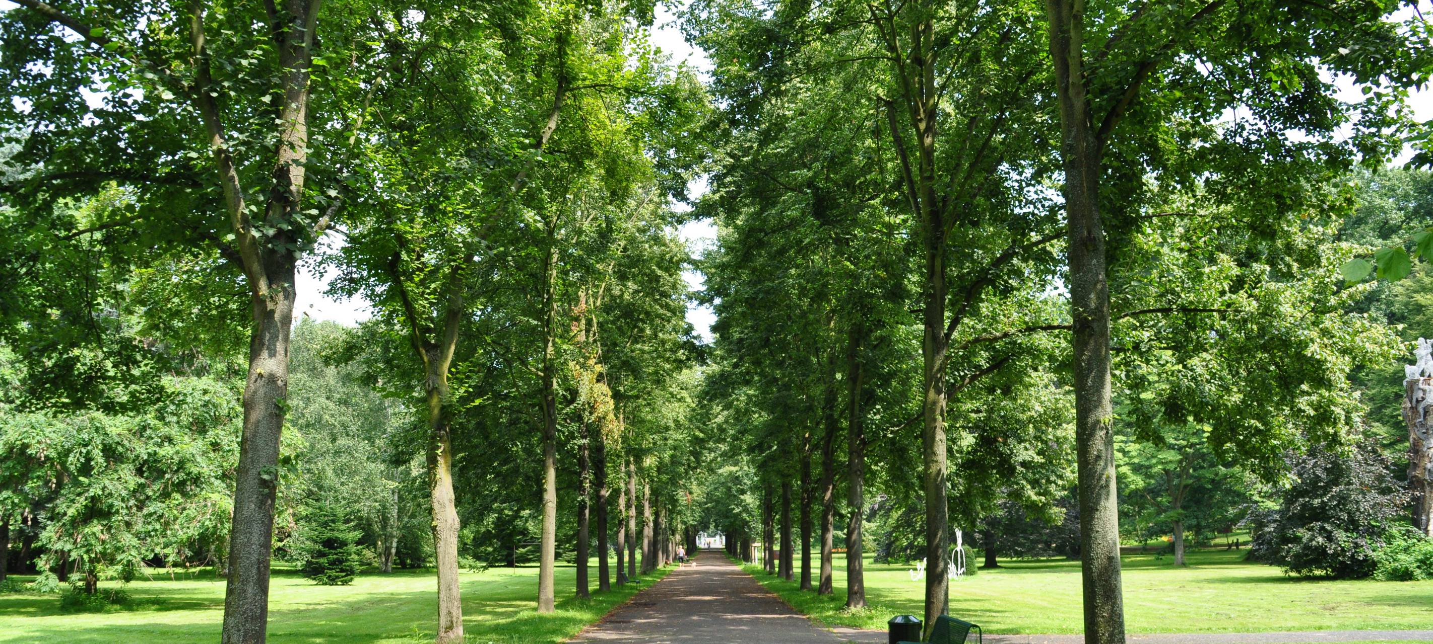 Ein Wald für Köln: Aufforstung in Ostheim