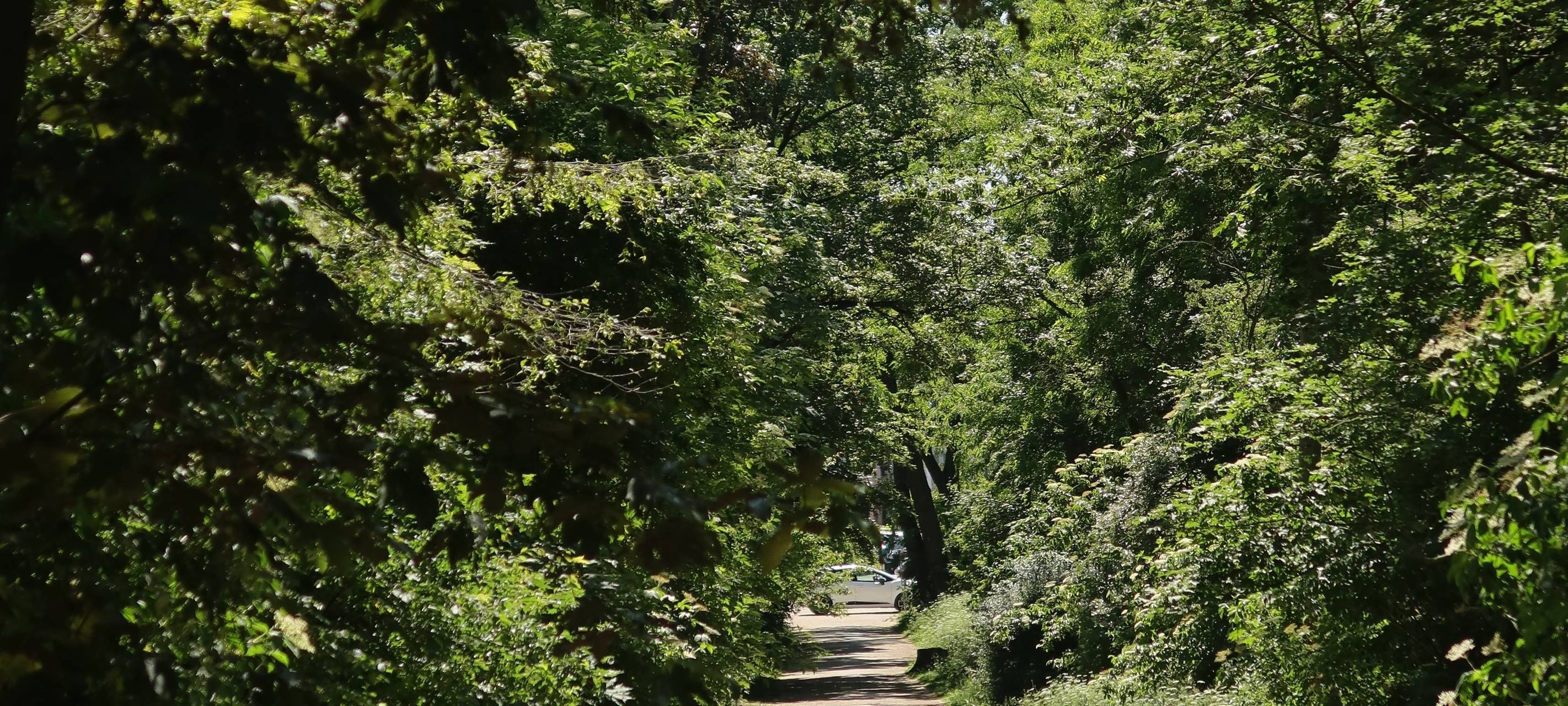 Johannes-Giesberts-Park wegen Blindgängersuche gesperrt