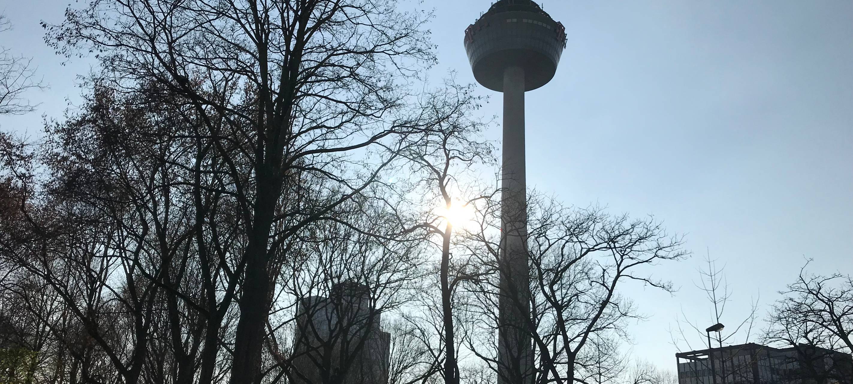 Denkmal-Antrag für Colonius ist gestellt