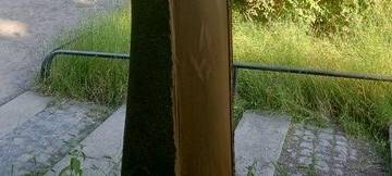 Unbekannte beschädigen Baum in Mülheim