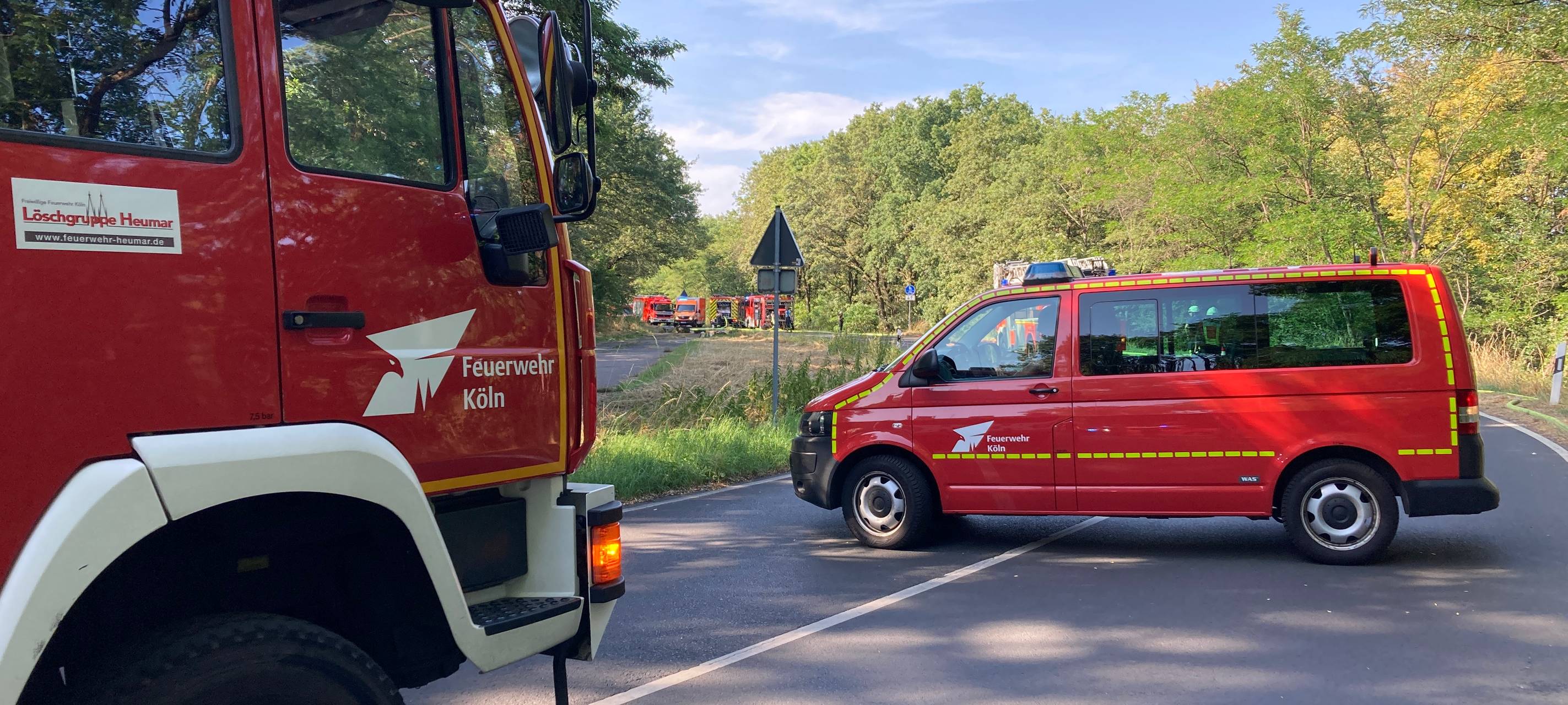 Waldbrand am Höhenfelder See