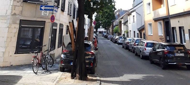 Baumfrevel in Deutz und Humboldt/Gremberg