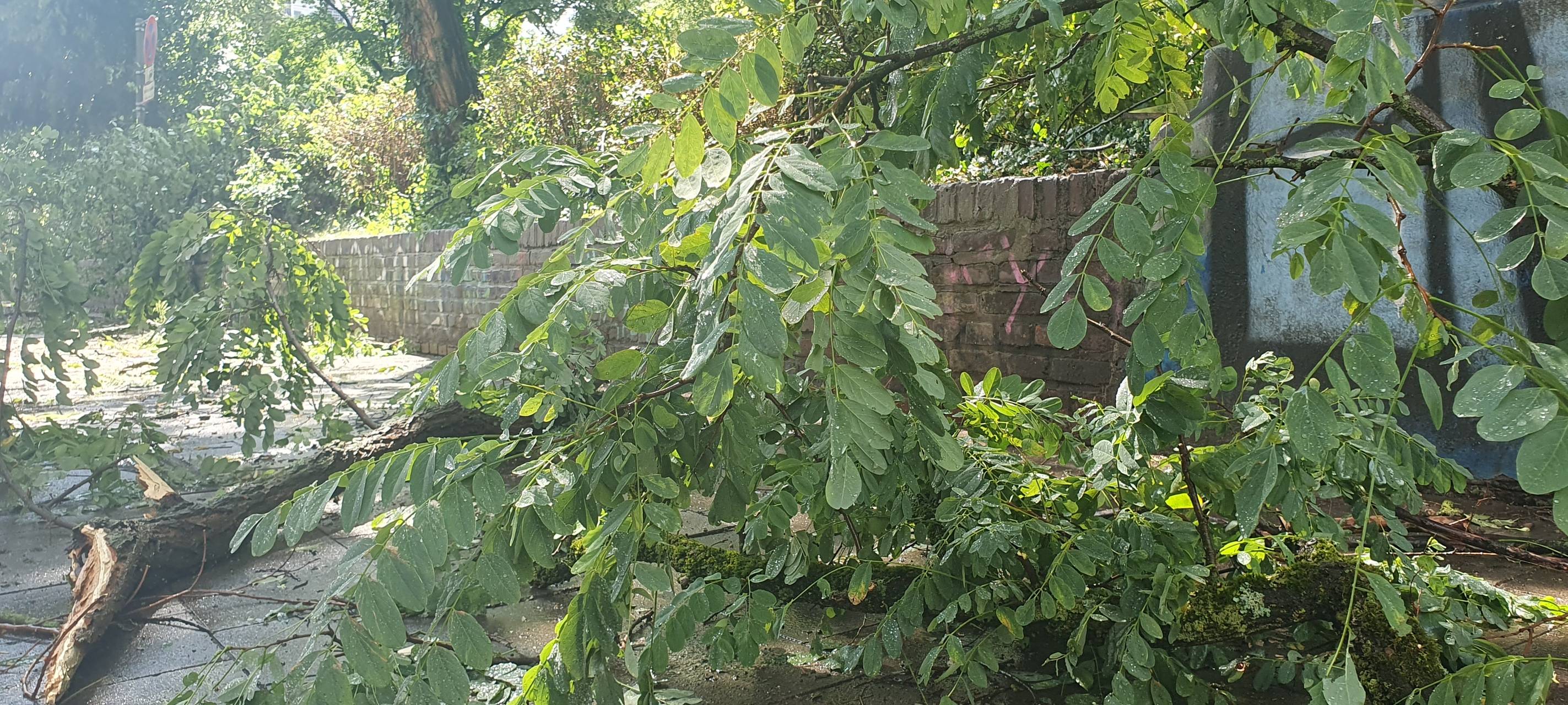 Abkühlung durch Gewitter - Kaum Schäden in Köln