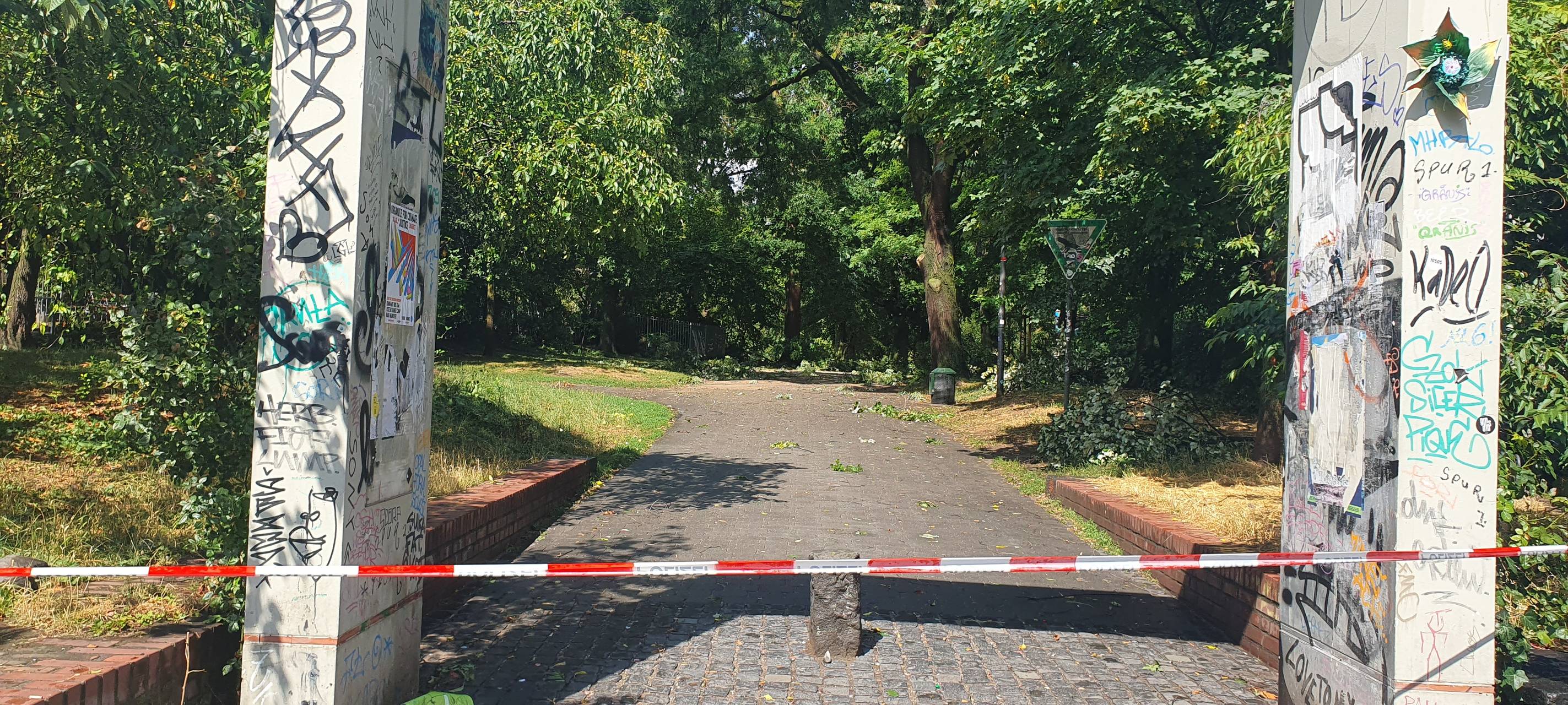 Unwetter: Umgestürzte Bäume und vollgelaufene Keller in Köln