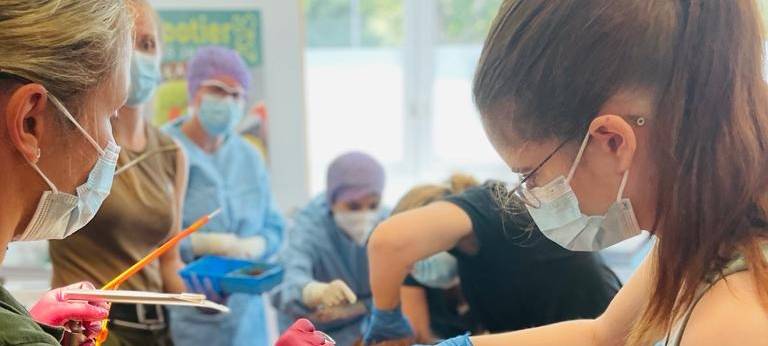 OP-Team aus Porz operiert Orang-Utan-Dame