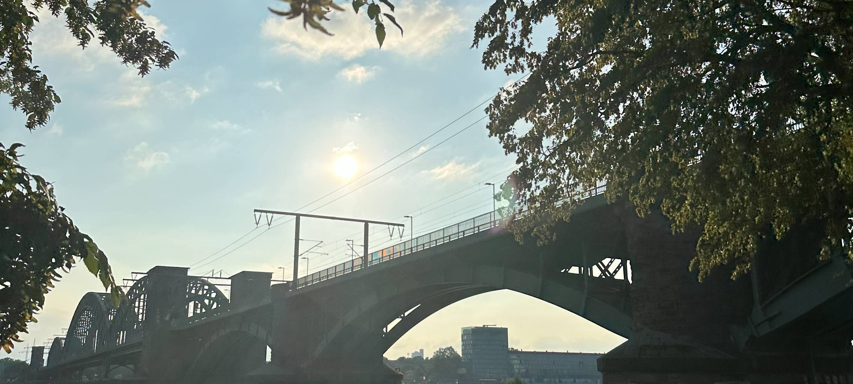 Fahrschulbus erfasst Mann