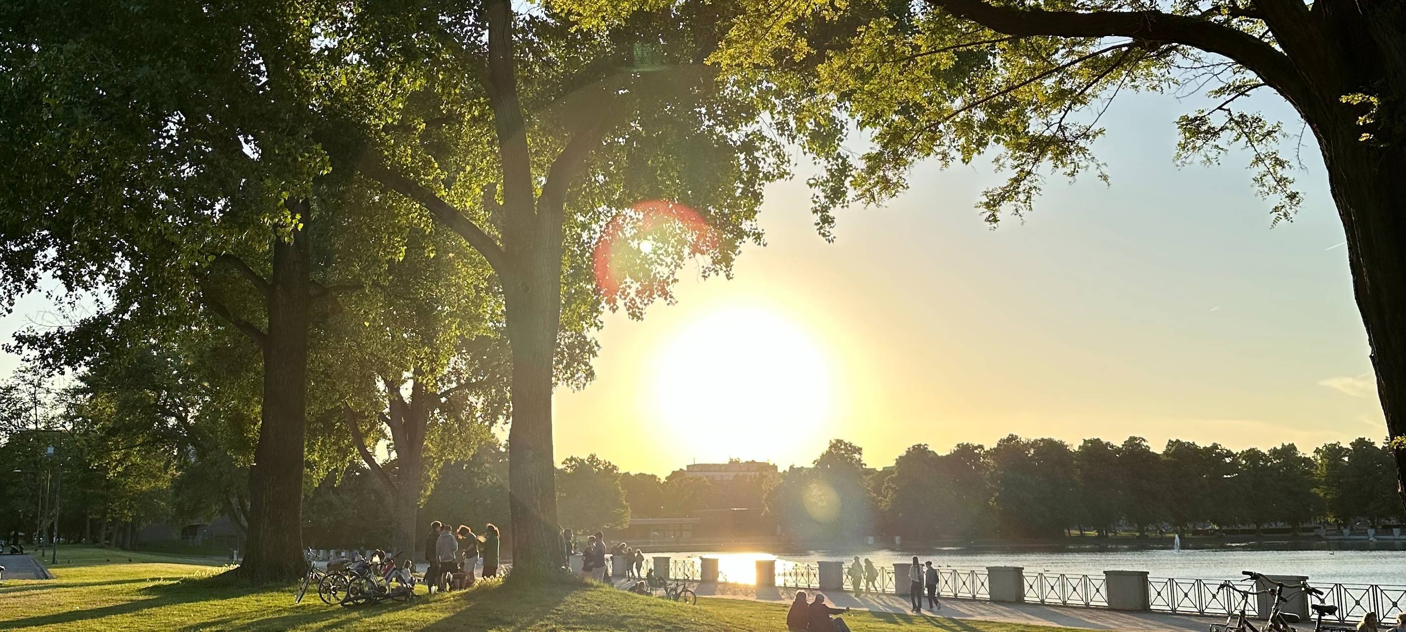 Volle Kölner Parks erwartet – AWB im Einsatz