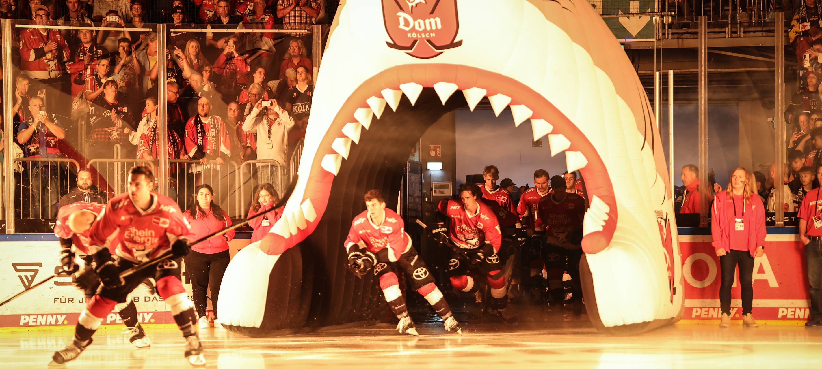 Kölner Haie gegen Löwen Frankfurt
