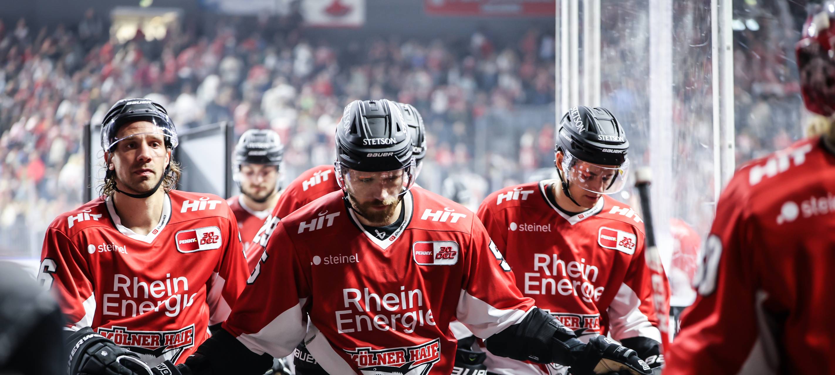Erneute Niederlage: Haie scheitern auch Ingolstadt