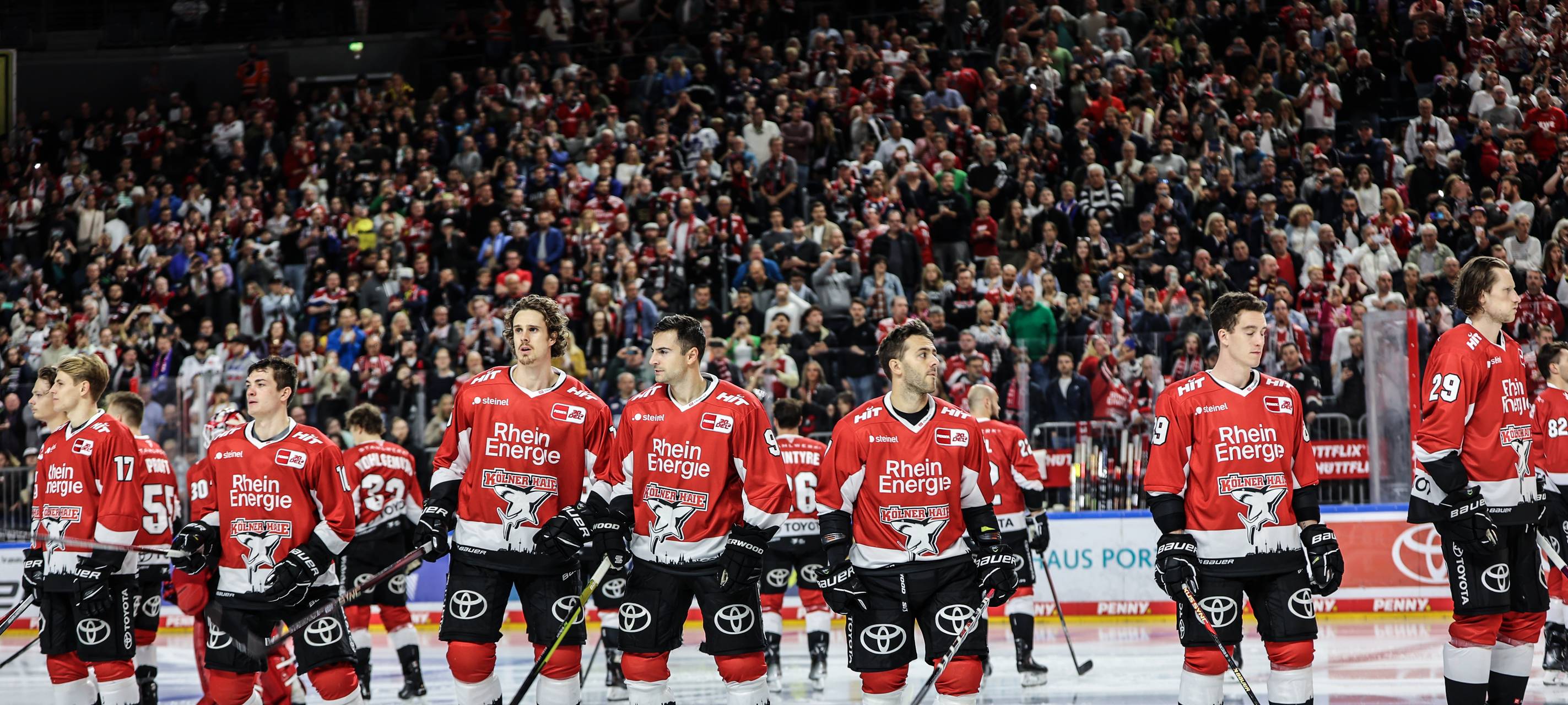 Haie verlieren 2:3 gegen Wolfsburg