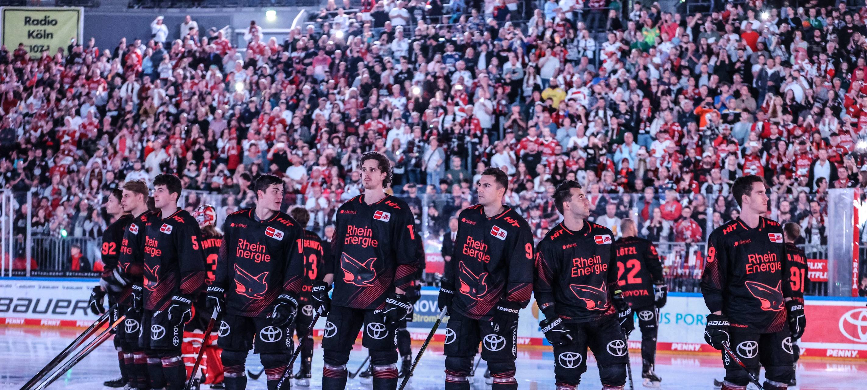Haie wollen Negativtrend in Ingolstadt stoppen