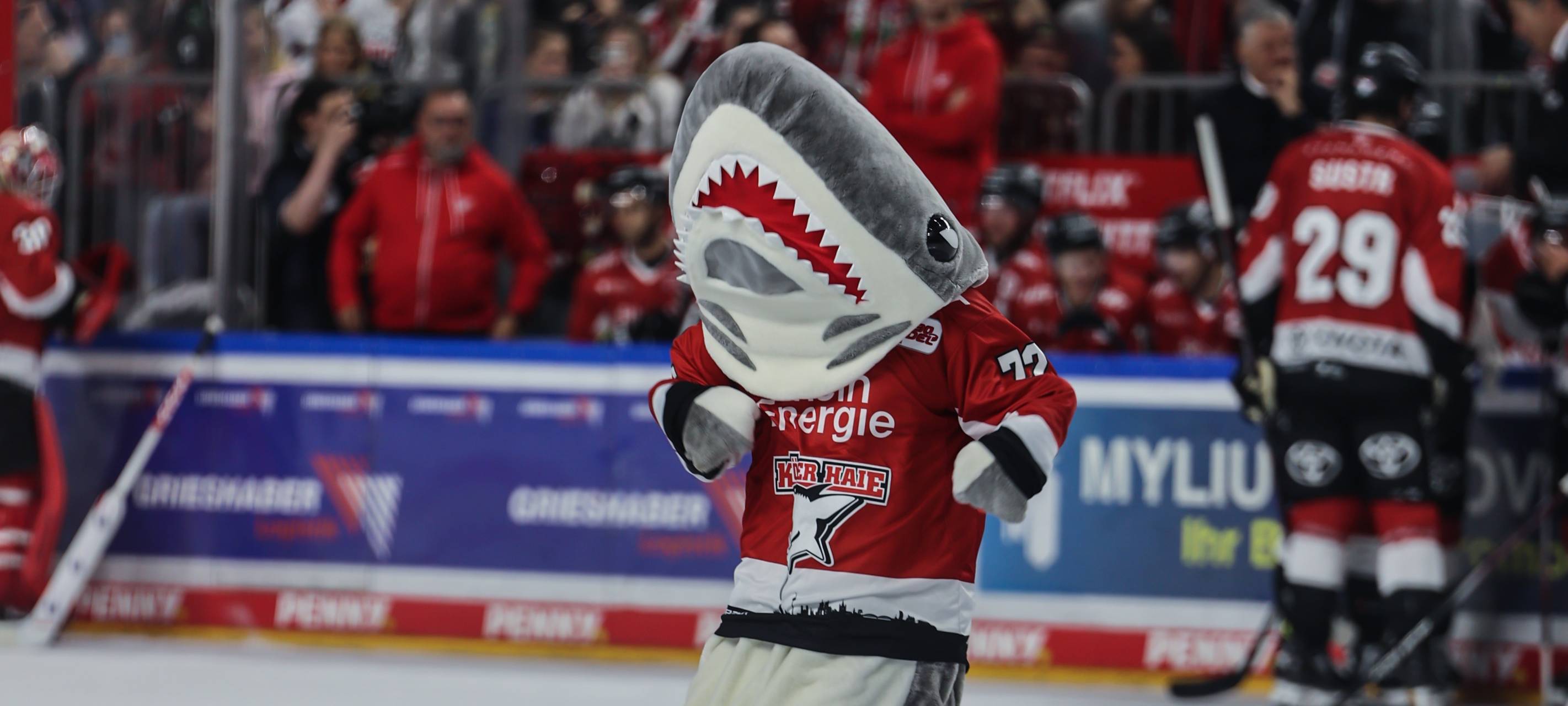 Kölner Haie spielen am Abend in Wolfsburg
