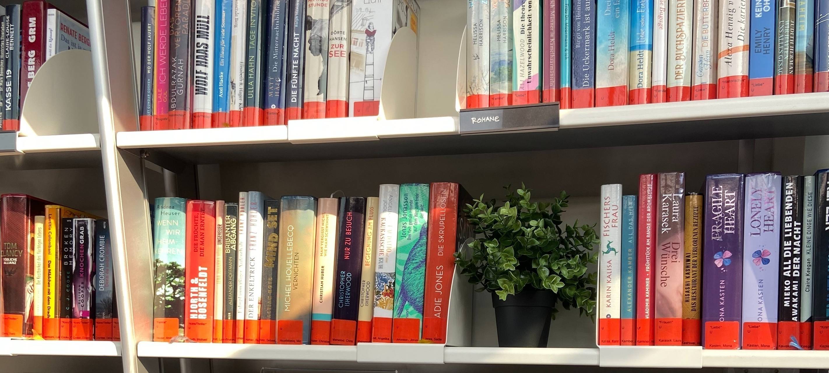 Bibliothek in Sülz wird renoviert