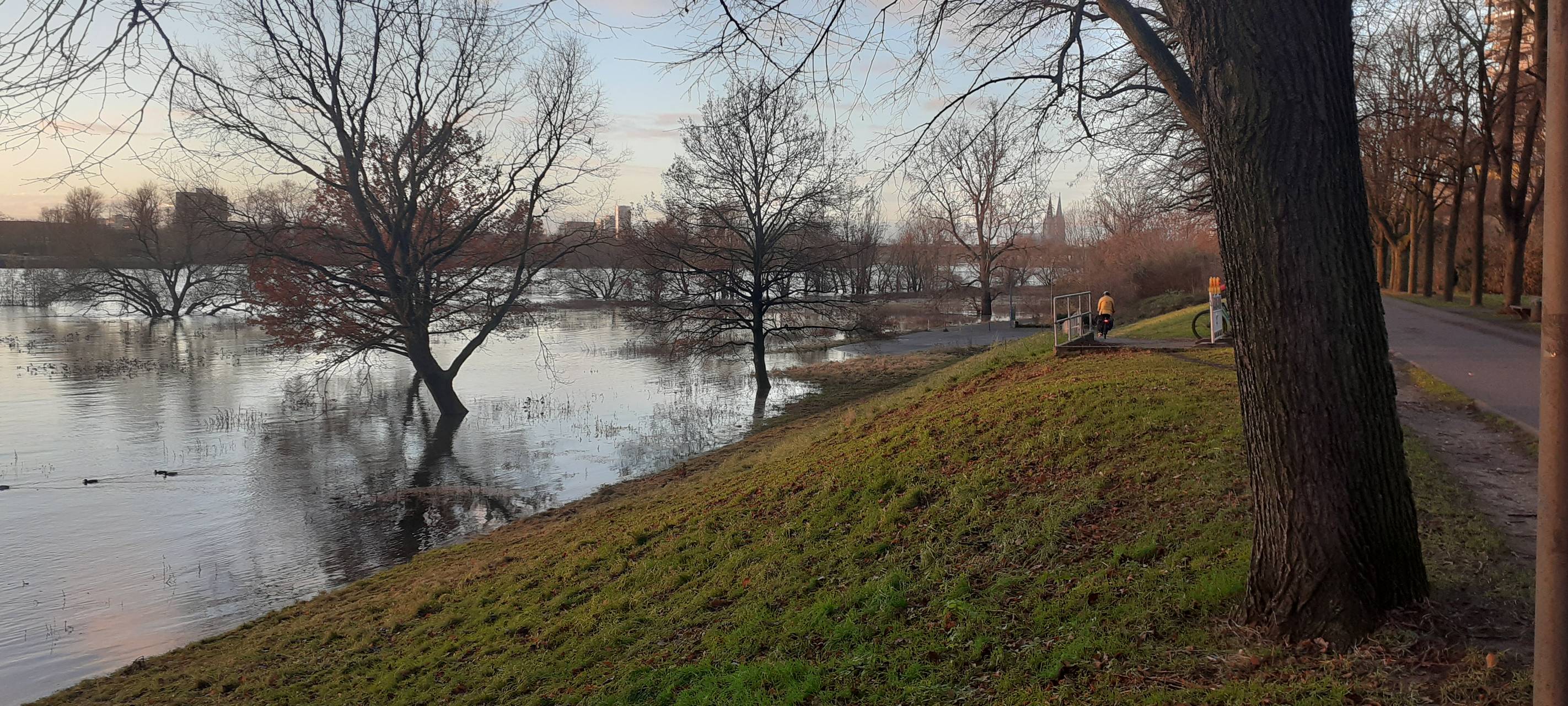 Nächstes Hochwasser in Köln erwartet