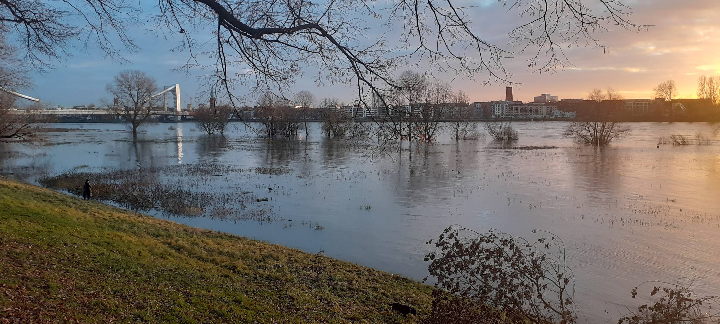 Rhein: Hochwassermarke 1 erreicht