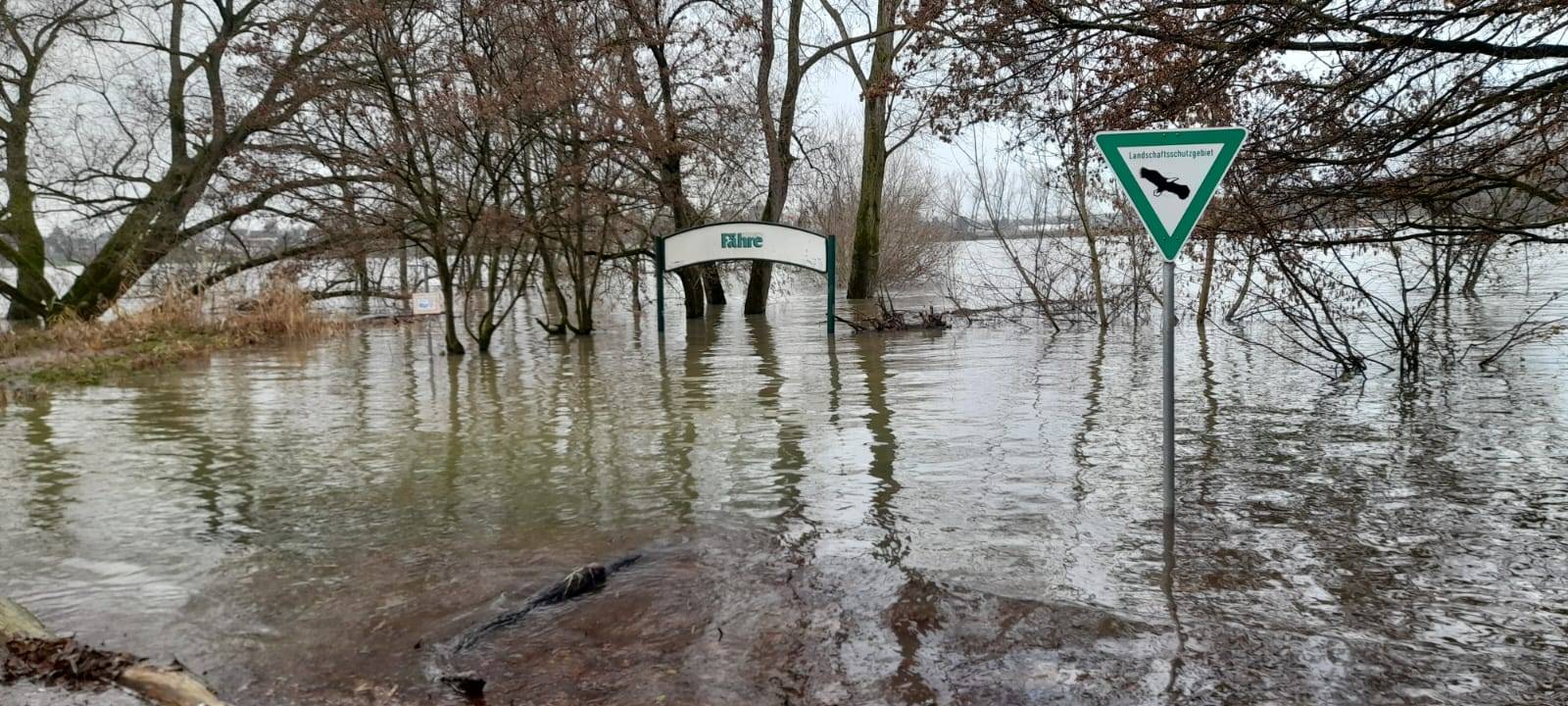 Immer noch viel Wasser im Rhein