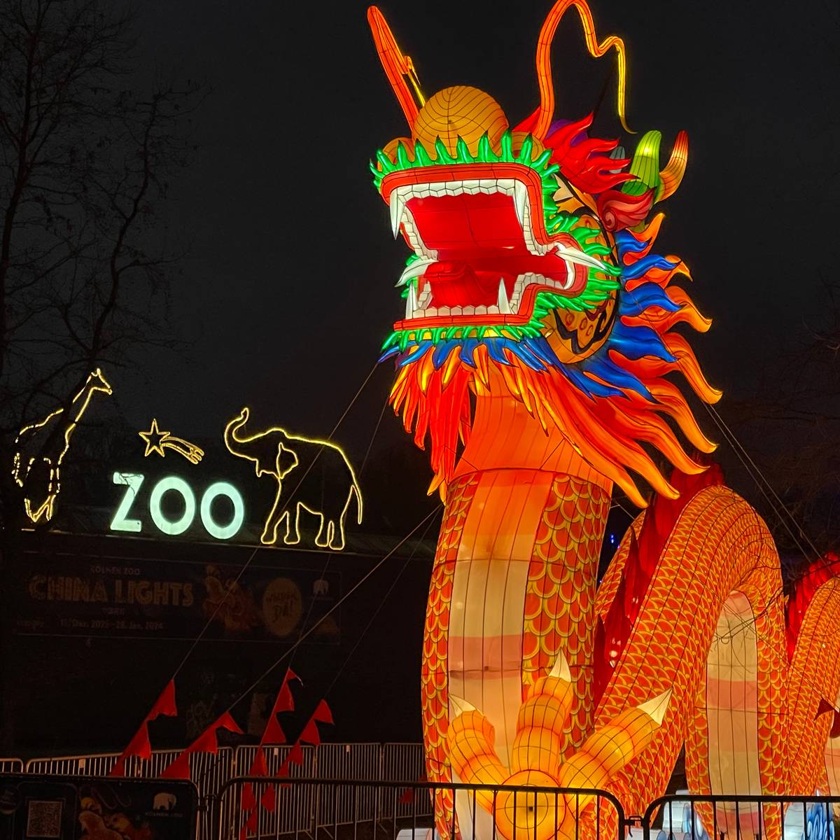 China Light Festival im Kölner Zoo - Radio Köln China Light Festival im Kölner Zoo - Radio Köln