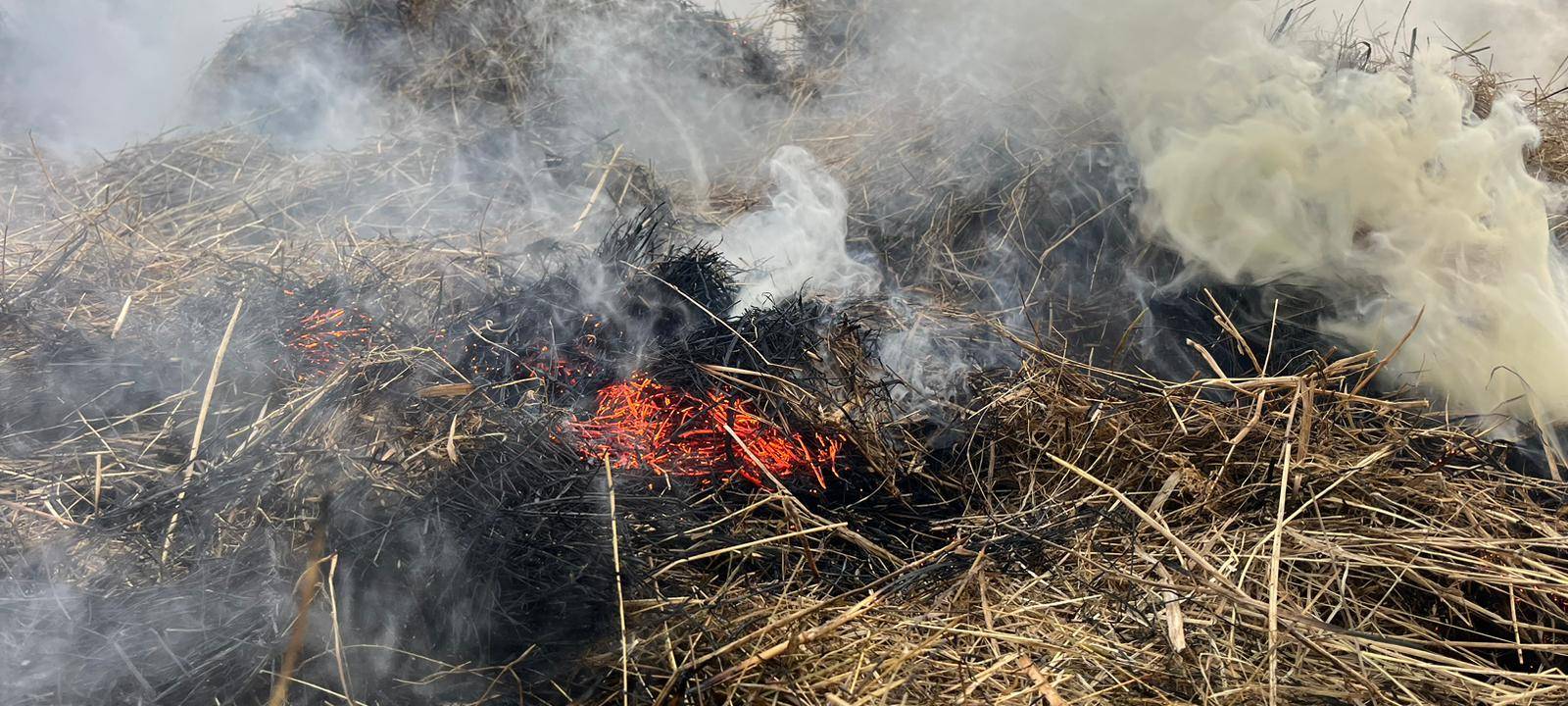 Entwarnung nach Brand in Junkersdorf