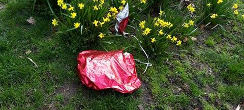 Viel Müll in Kölner Parks nach Osterwochenende