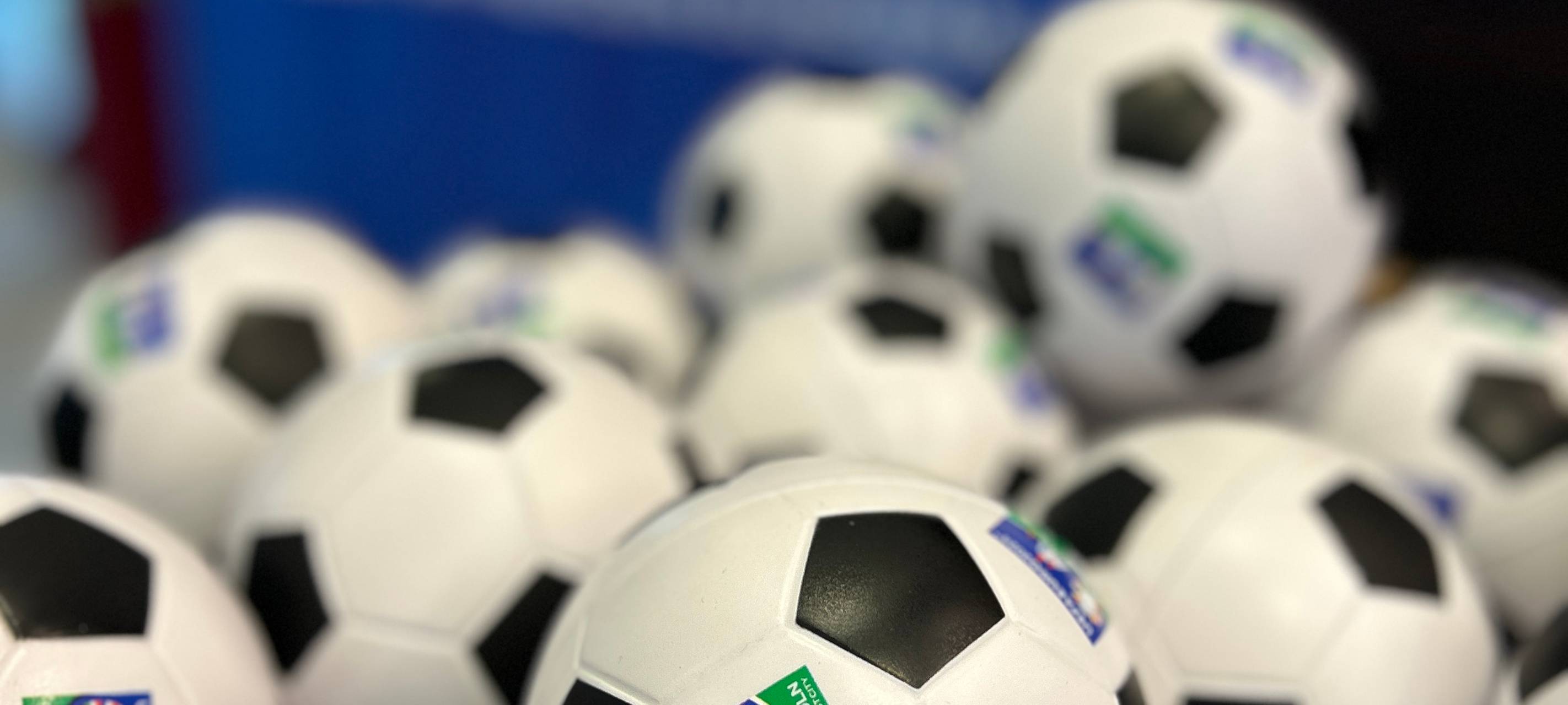Wilk: Fußball-EM Erfolg für Region