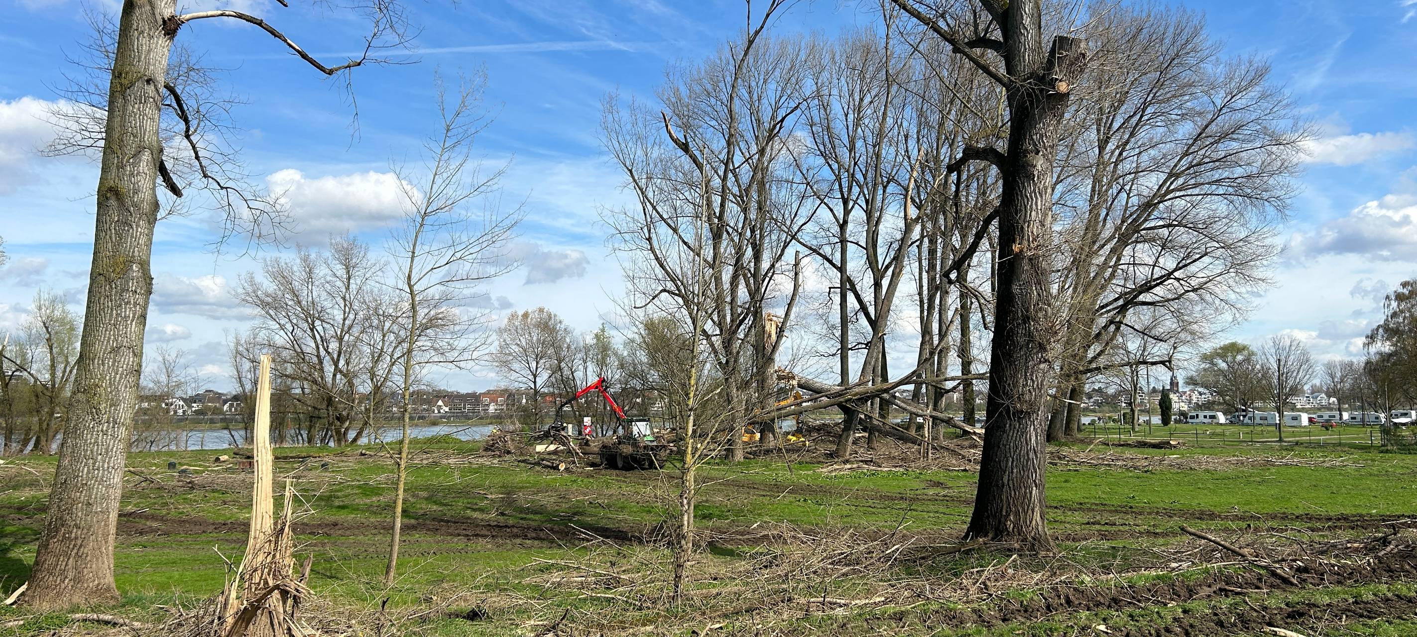 Stadt beseitigt Sturmschäden am Rheinufer