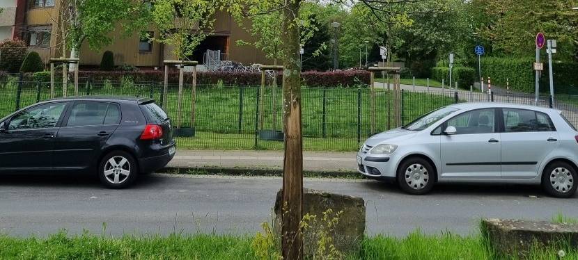 Nächster Baum muss nach Beschädigung gefällt werden