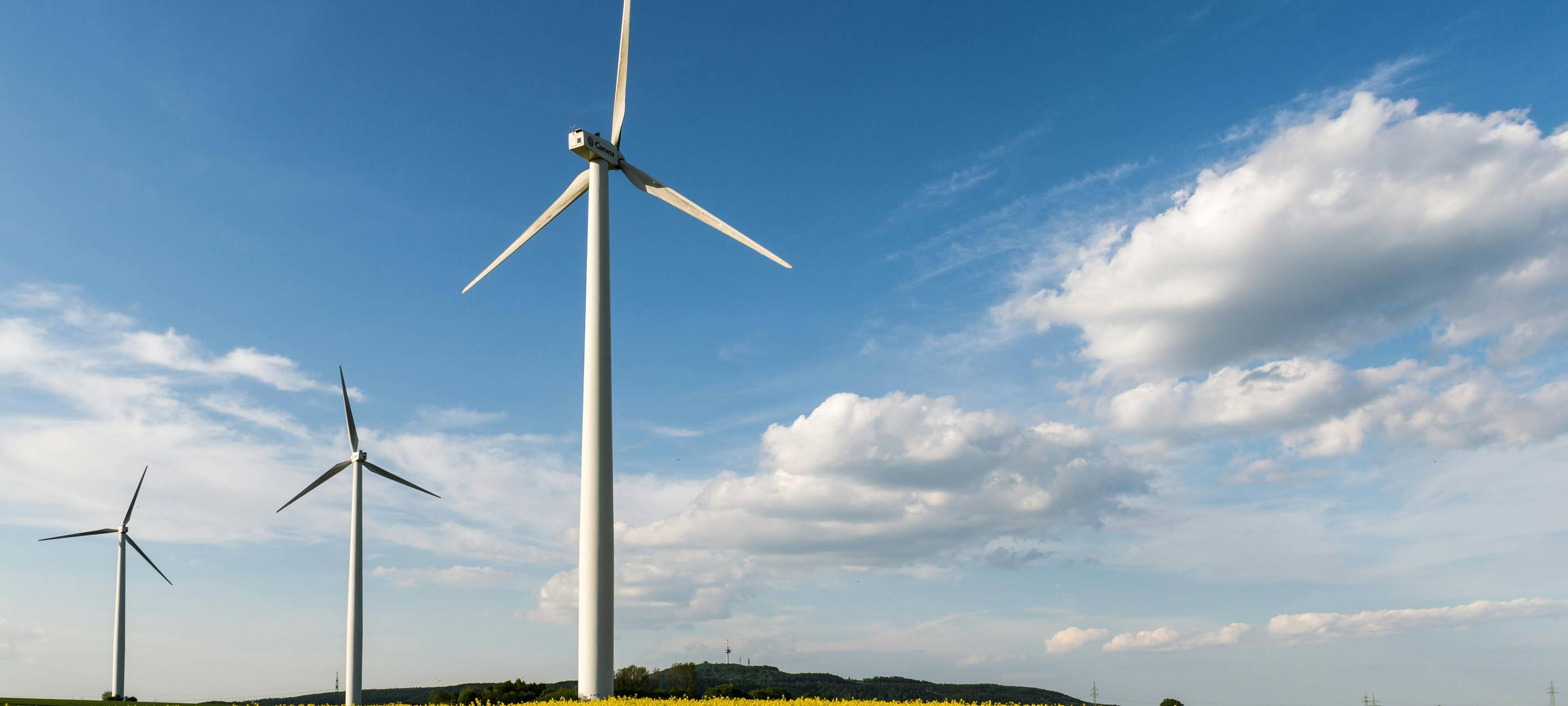 Kritik an fehlenden Windkrafträdern in Köln