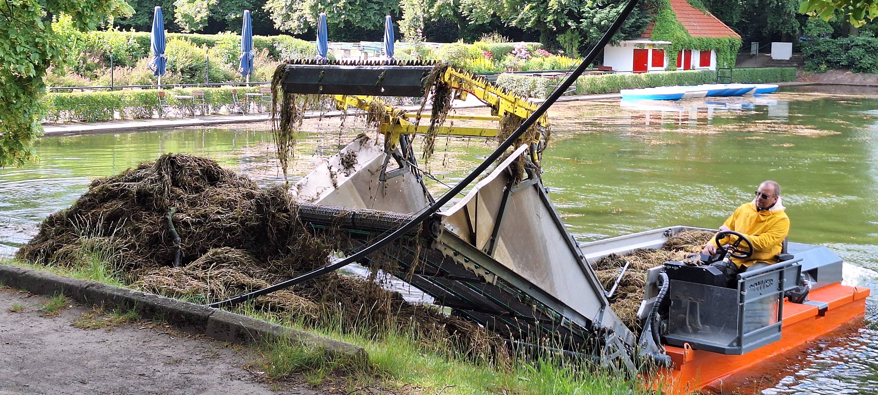 Mähboote auf den Weihern unterwegs
