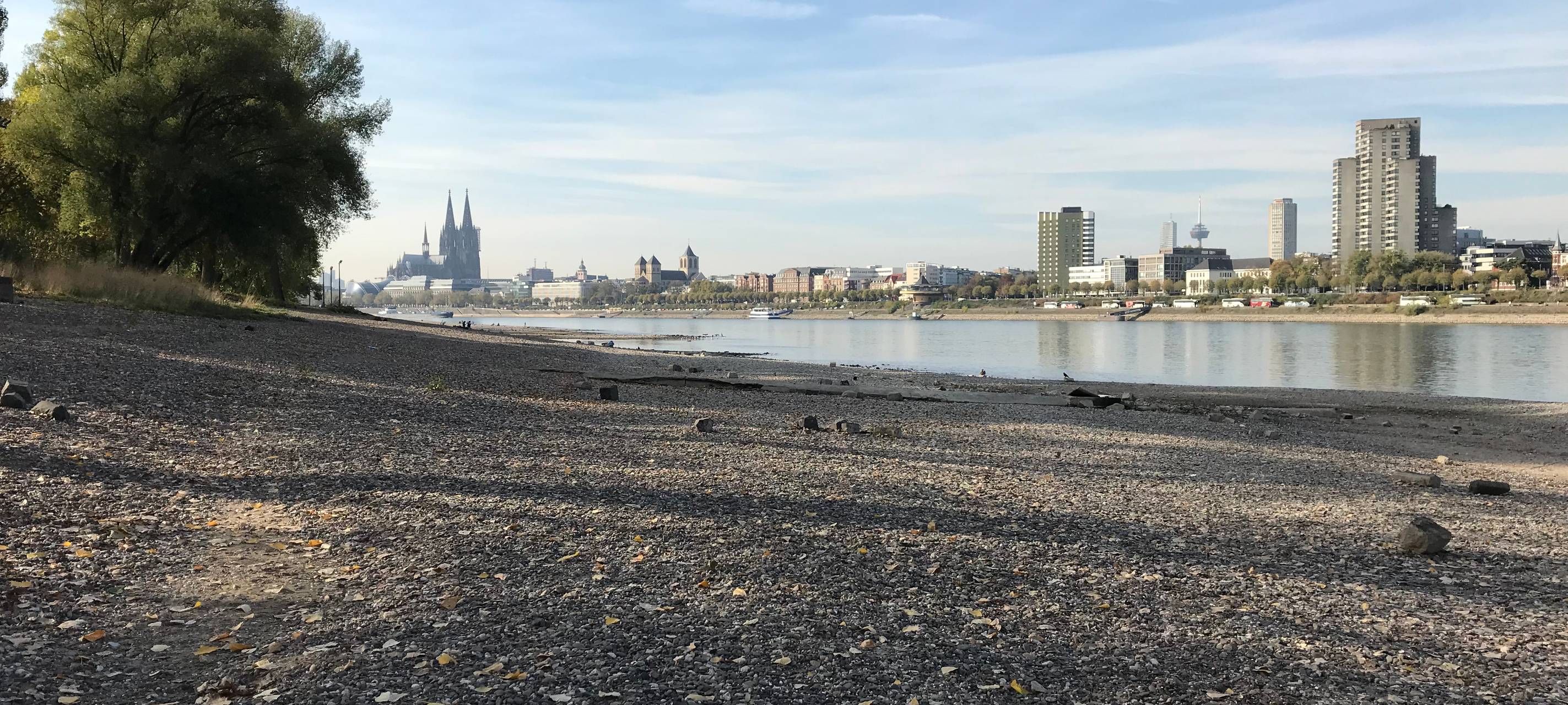 Rhein sinkt weiter - Schifffahrt beeinträchtigt