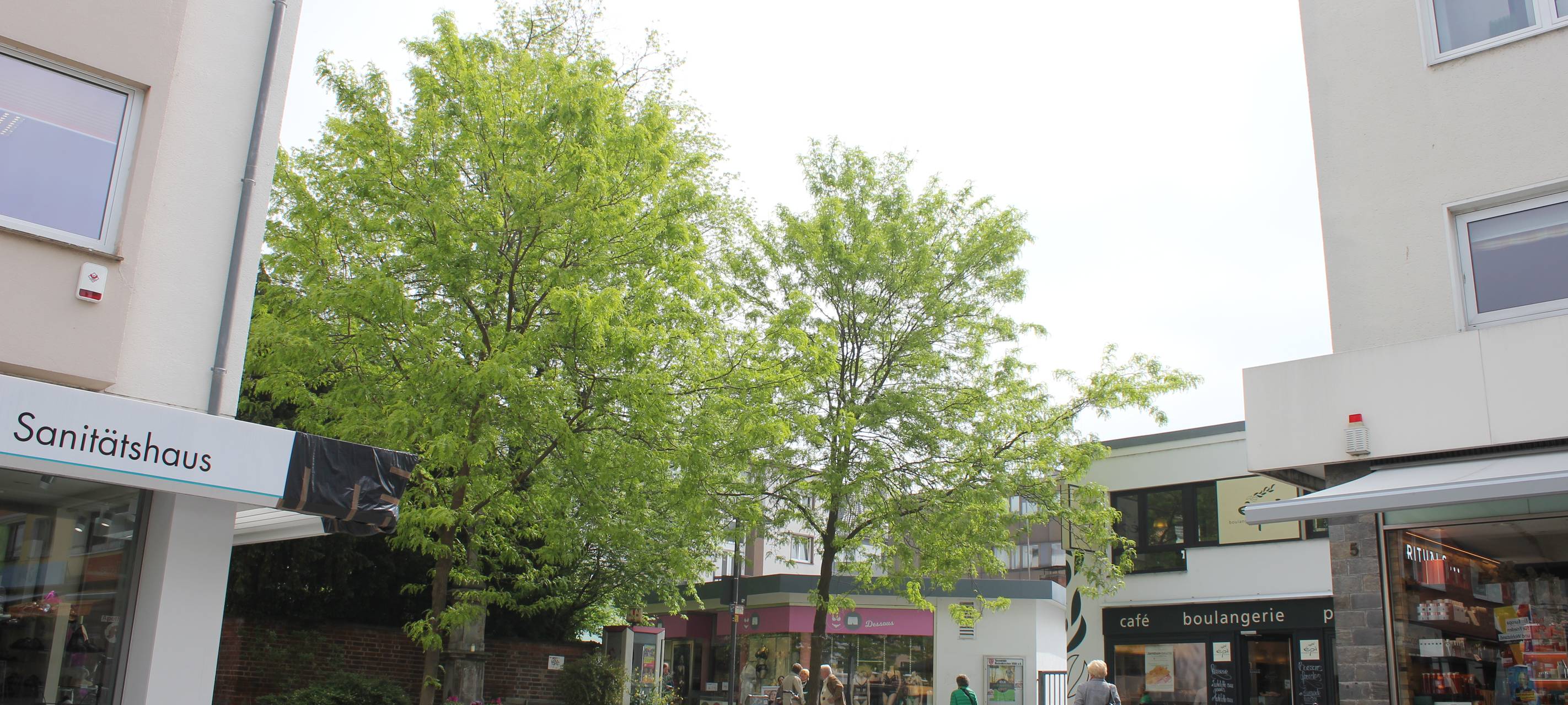 Masterplan für mehr Grün in der Stadt
