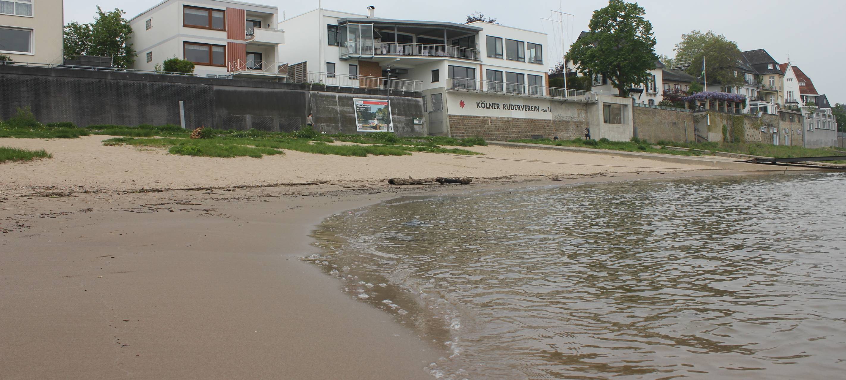 Rhein-Schwimmbad für Rodenkirchen?