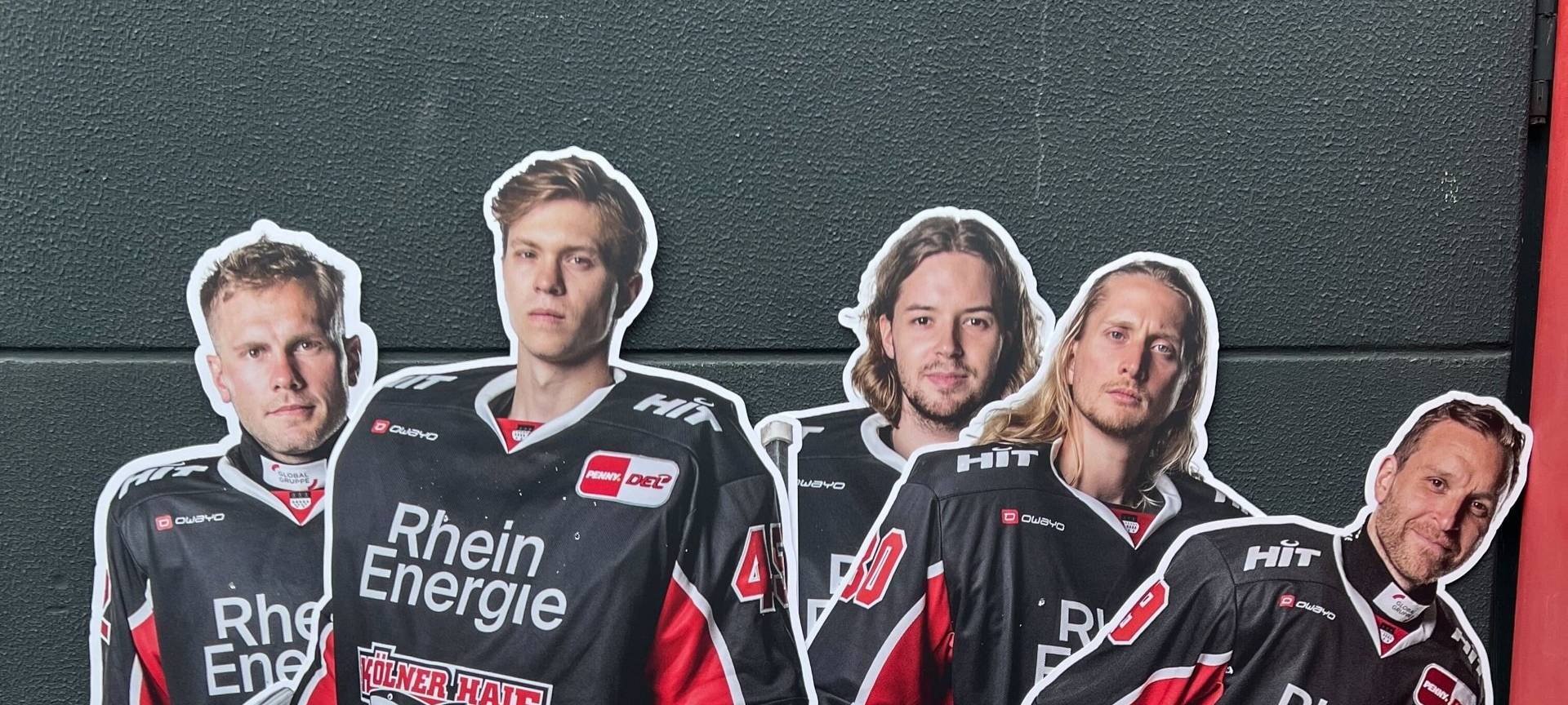 Suchaktion: Kölner Haie in der Stadt